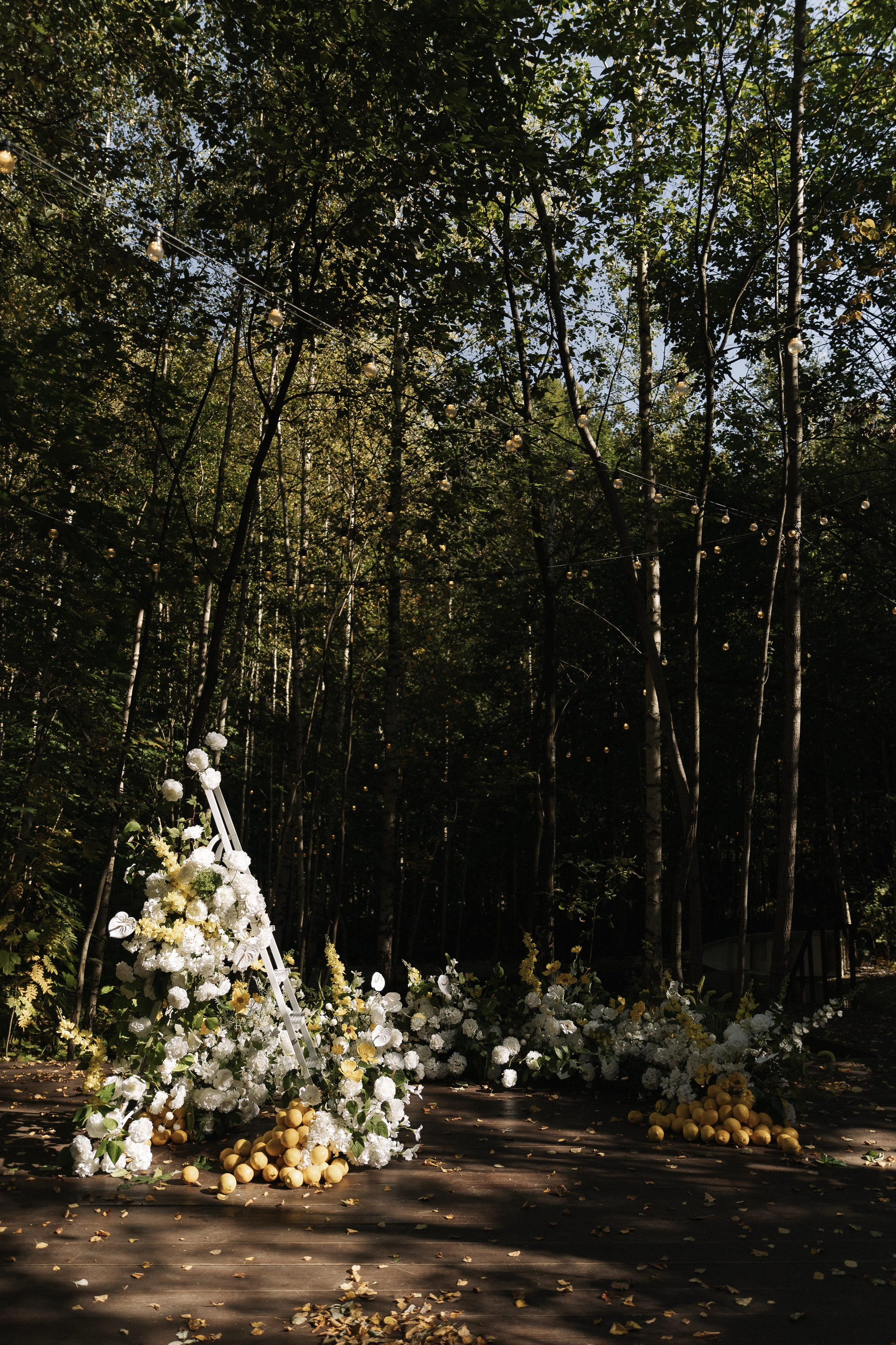 Свадьба в Forest Dew. Ярослава Ерина — свадебный фотограф в Москве