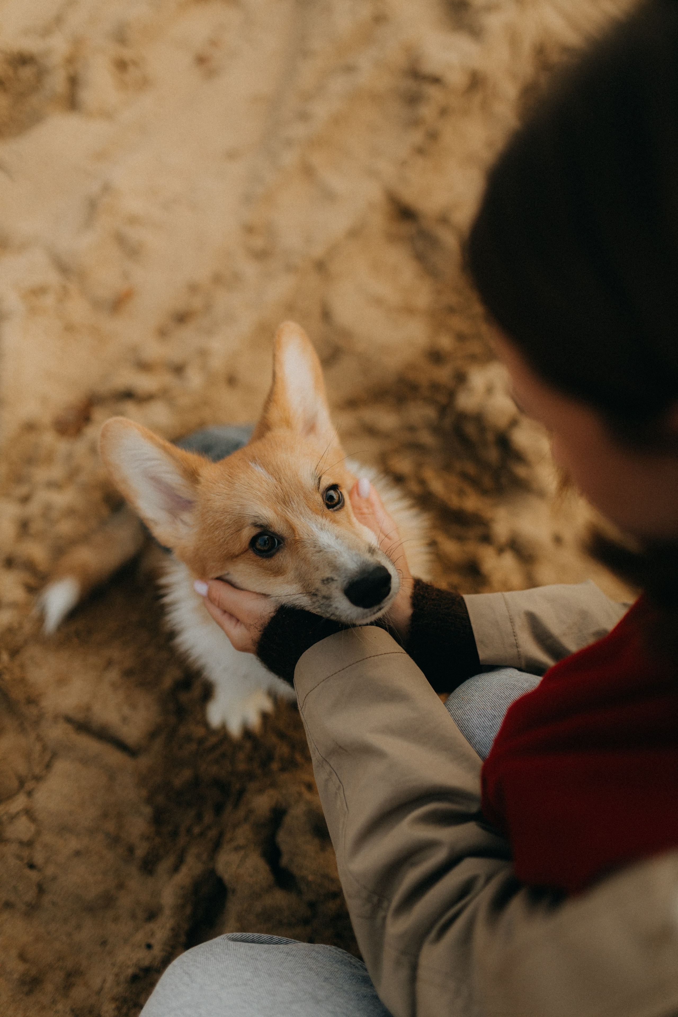 Алина. Фотограф НОГИНСК, Москва, Анастасия Белая