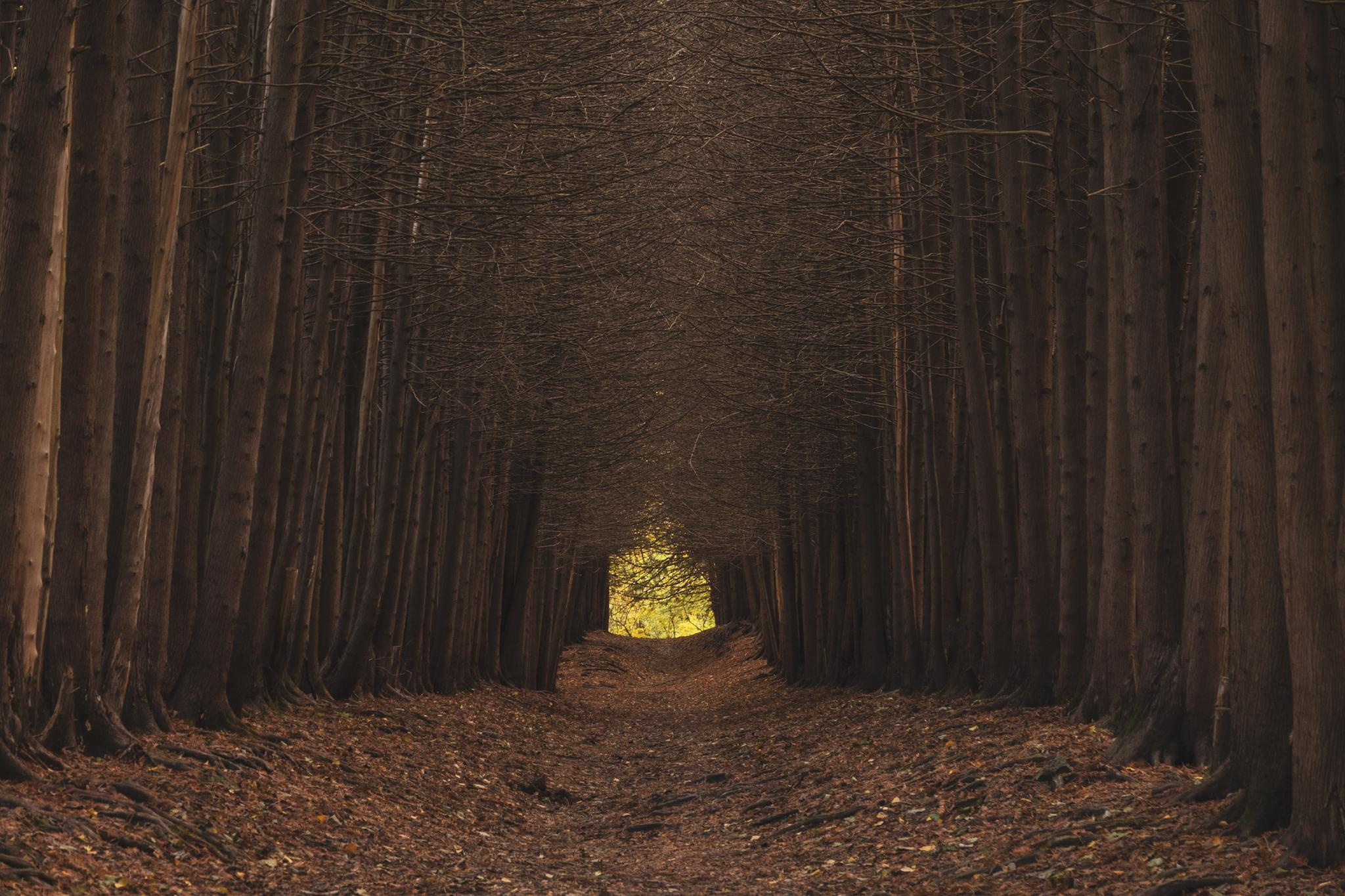 Природа и пейзаж. Фотограф в Москве Сергей Коршунов