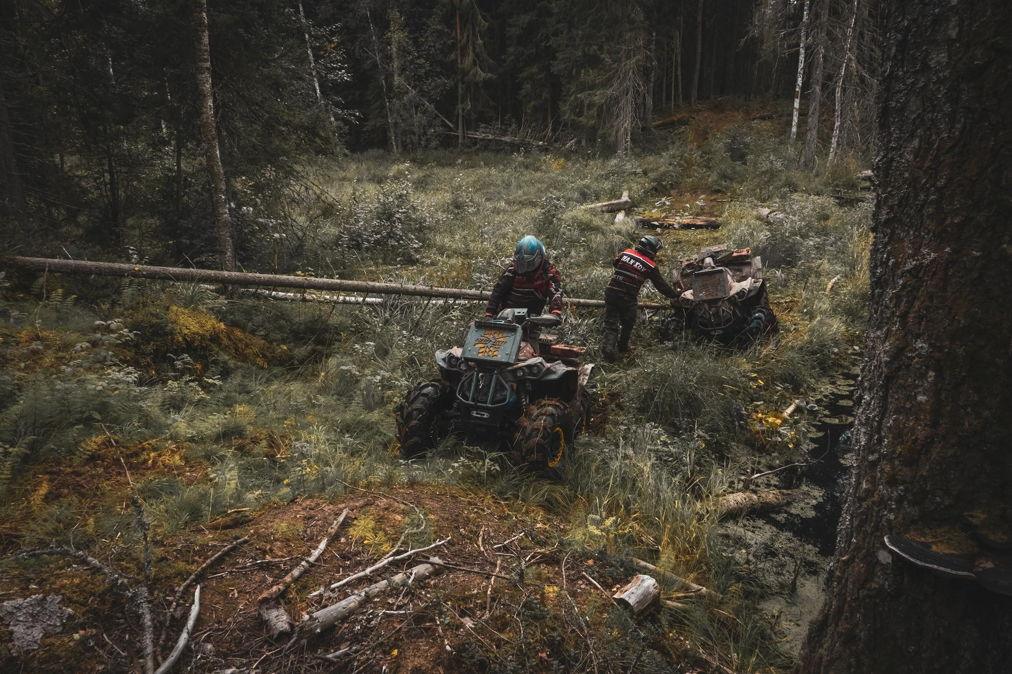 Спорт. Фотограф в Москве Сергей Коршунов