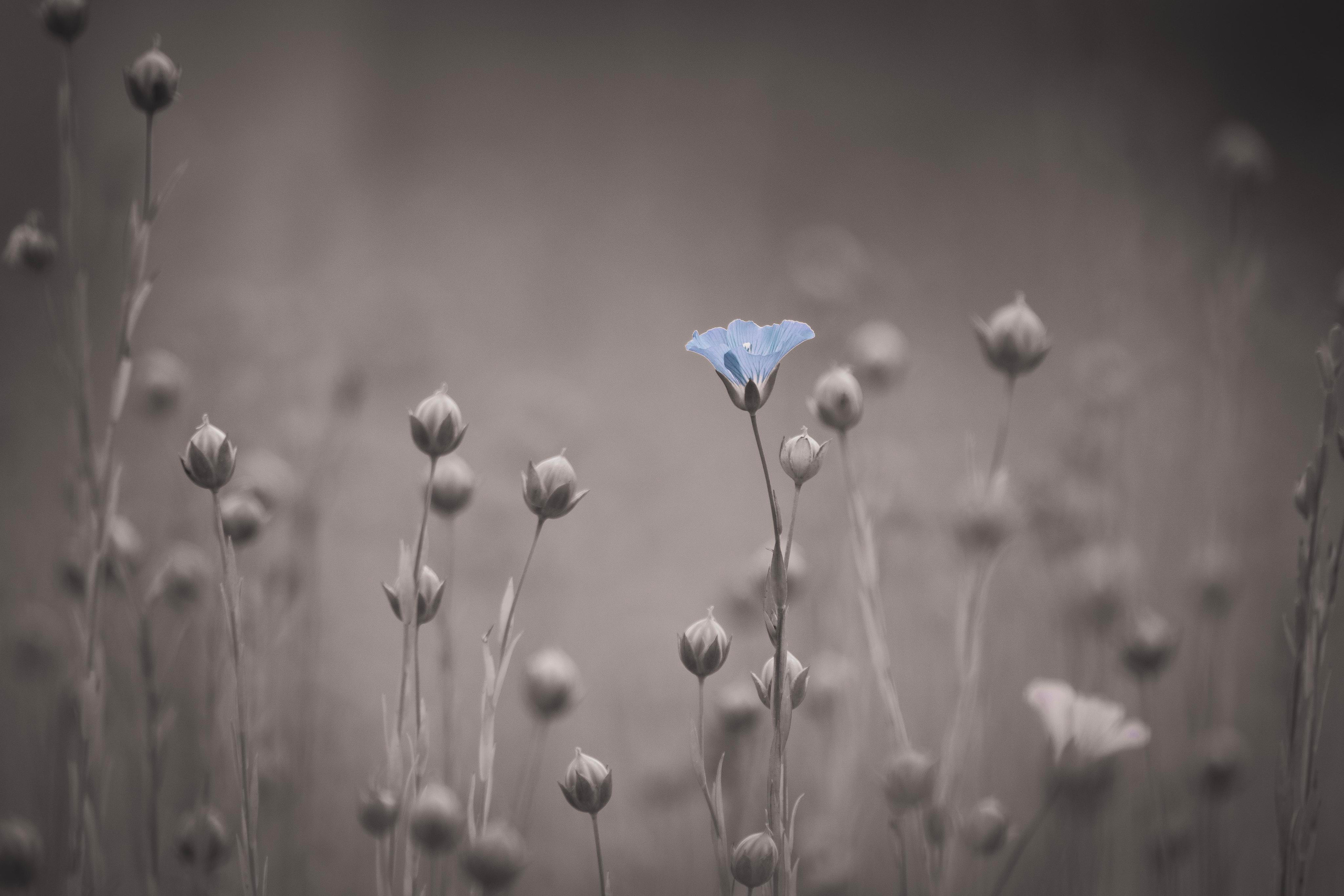 Природа и пейзаж. Фотограф в Москве Сергей Коршунов