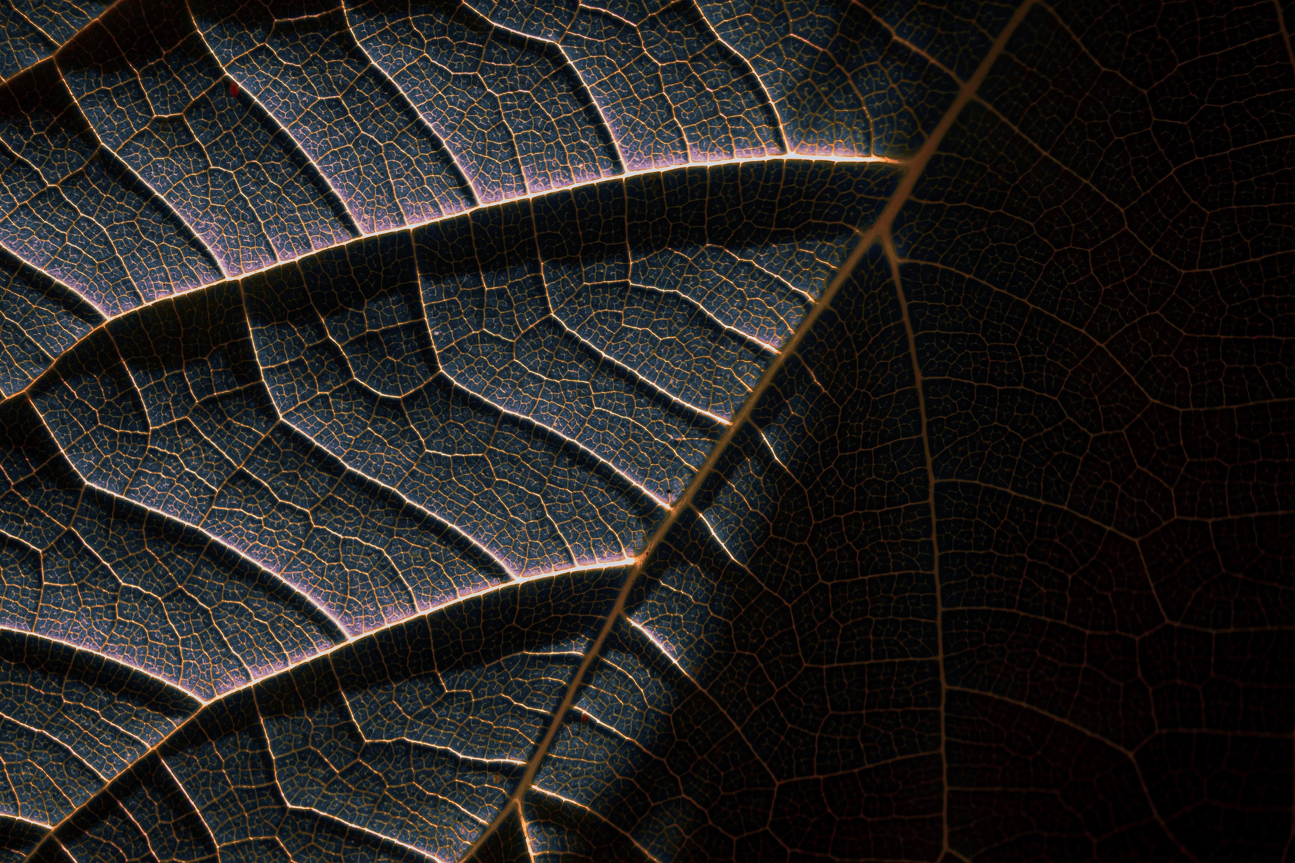 Узоры и паттерны. Фотограф в Москве Сергей Коршунов