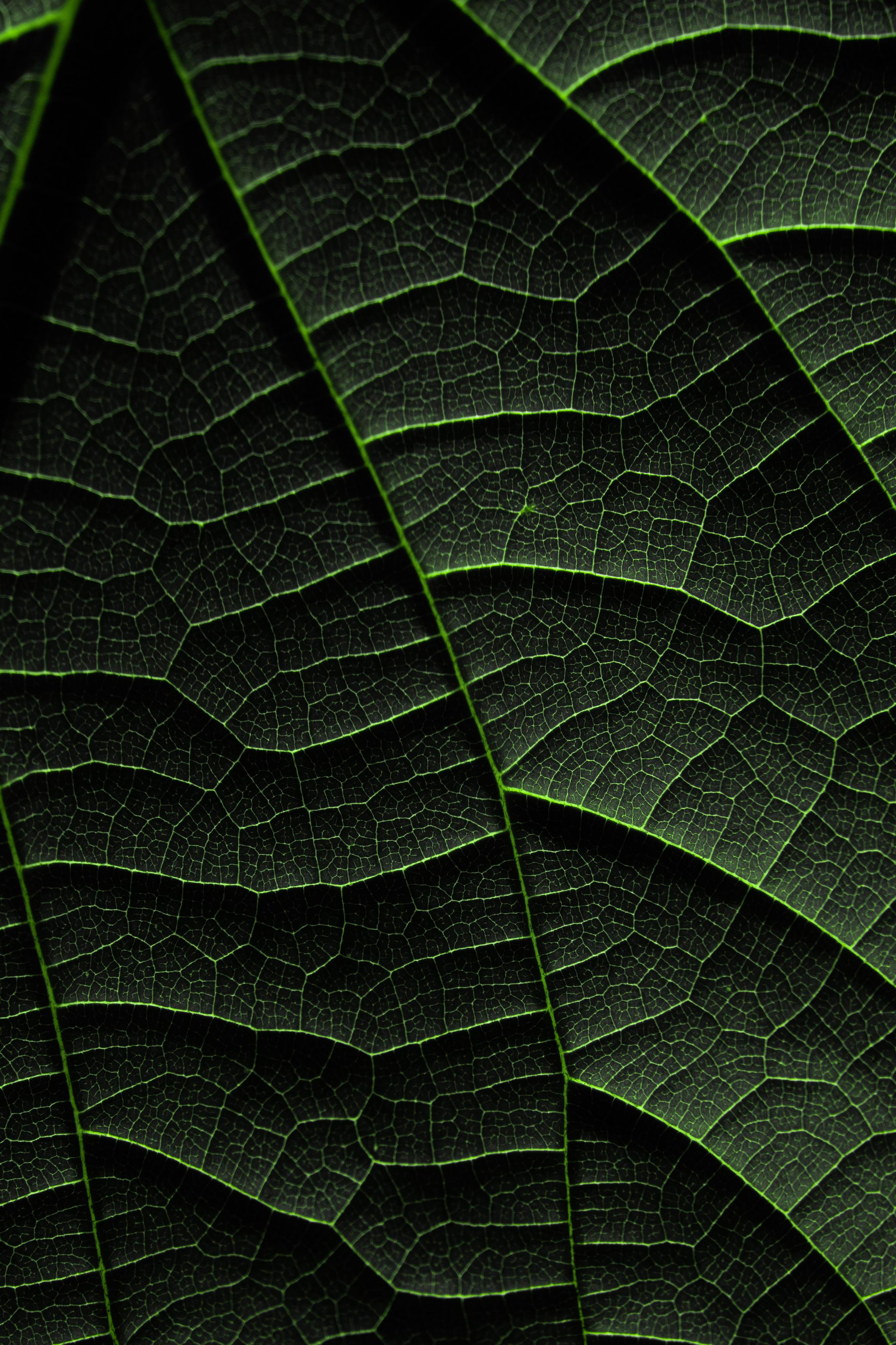 Узоры и паттерны. Фотограф в Москве Сергей Коршунов