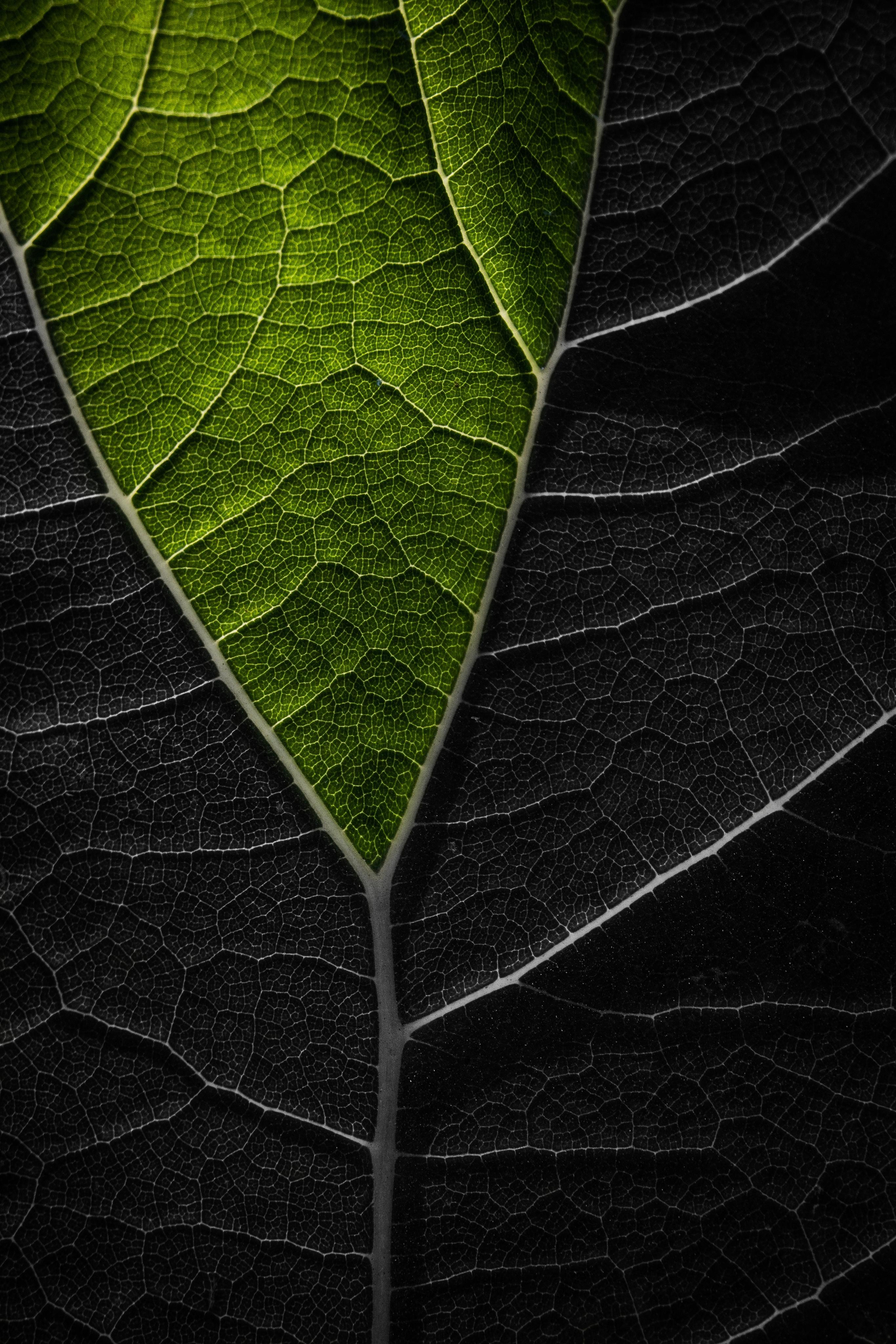 Узоры и паттерны. Фотограф в Москве Сергей Коршунов