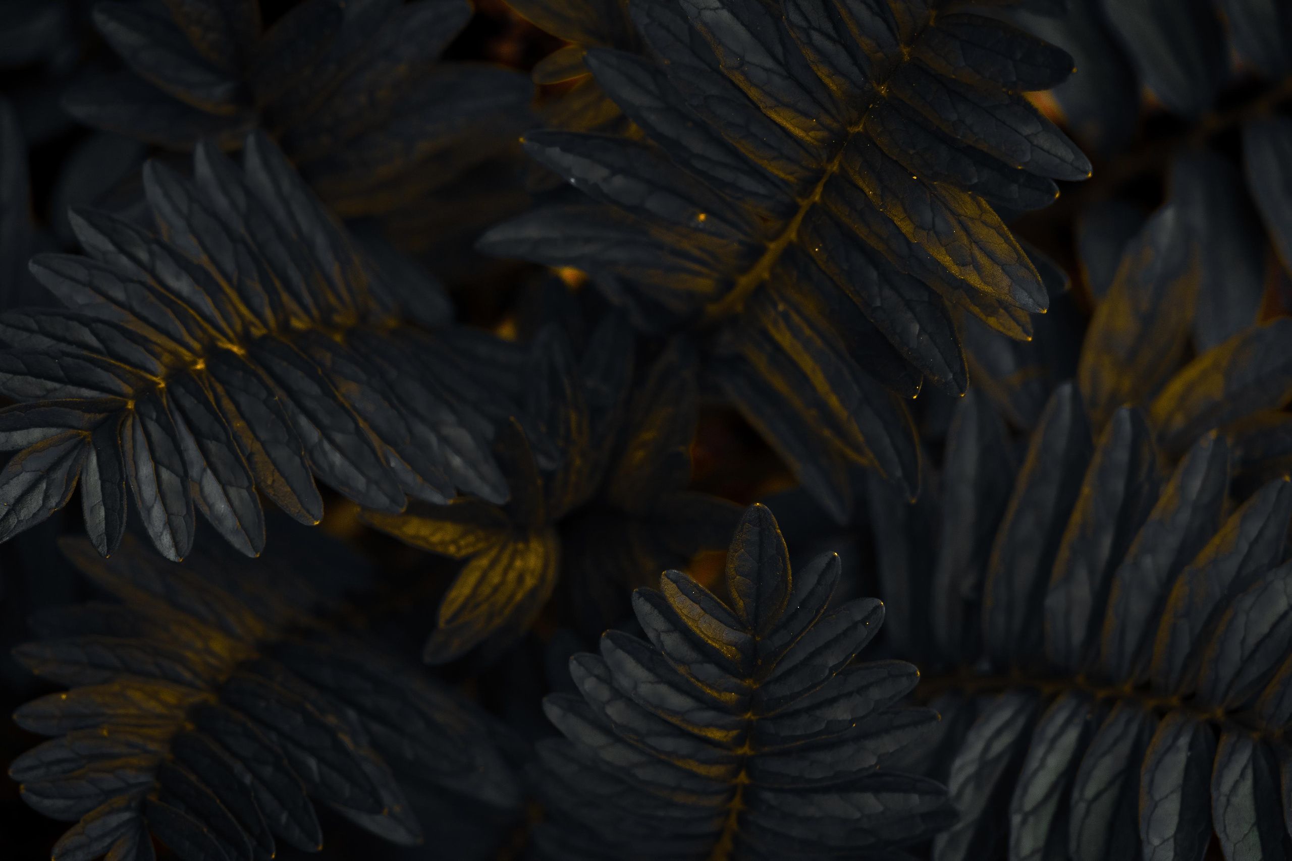 Природа и пейзаж. Фотограф в Москве Сергей Коршунов