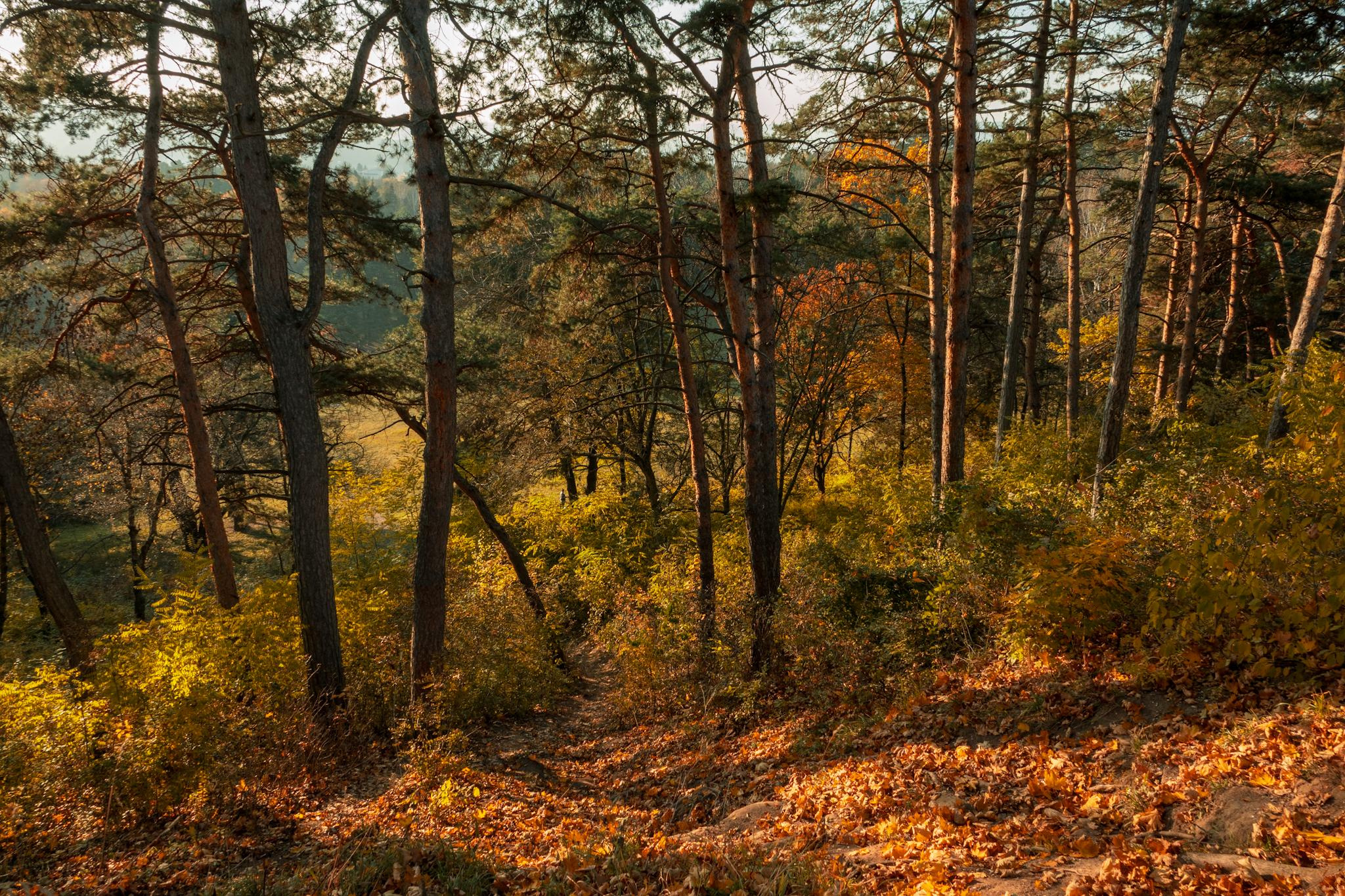 Природа и пейзаж. Фотограф в Москве Сергей Коршунов