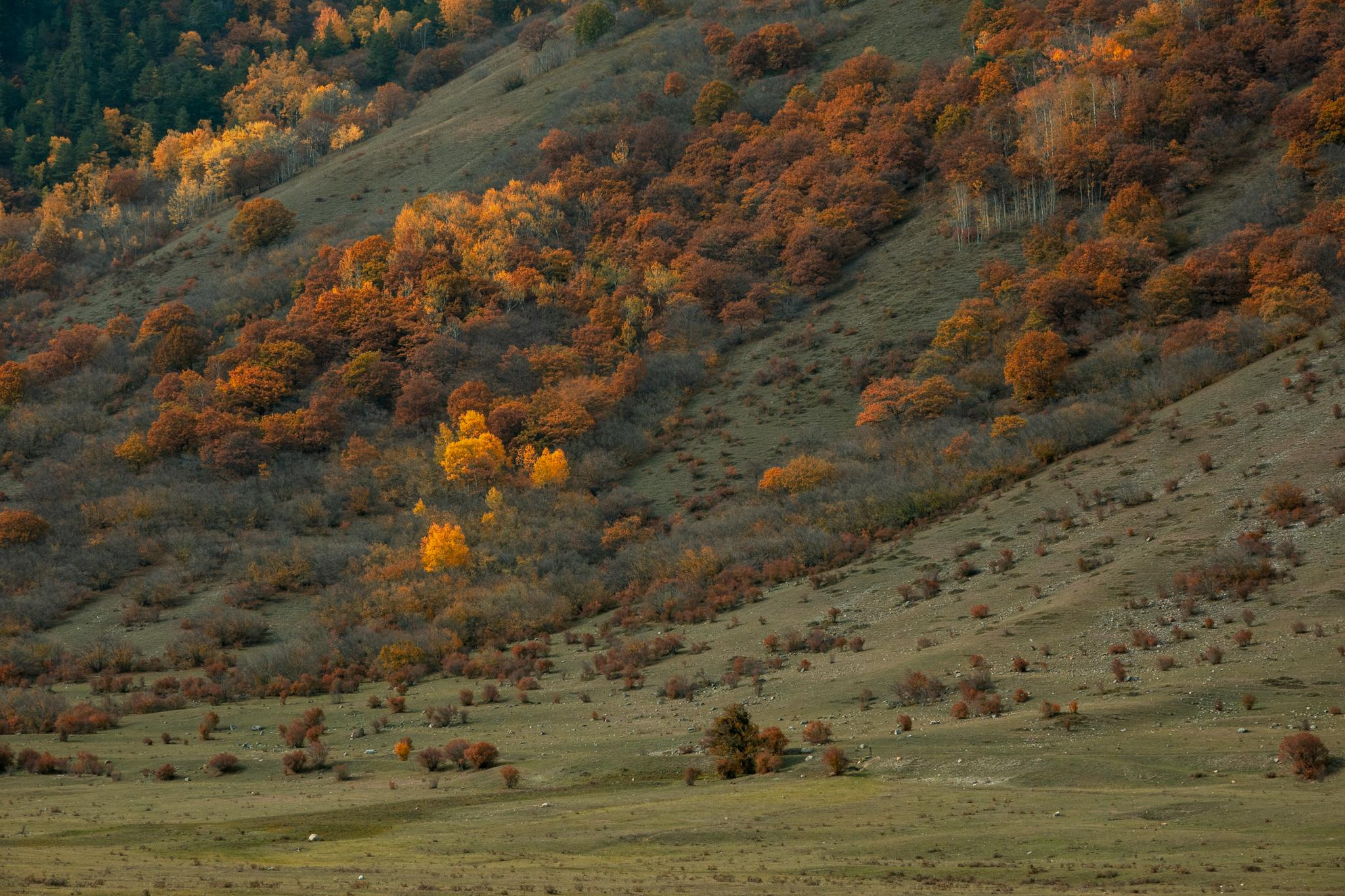 Природа и пейзаж. Фотограф в Москве Сергей Коршунов