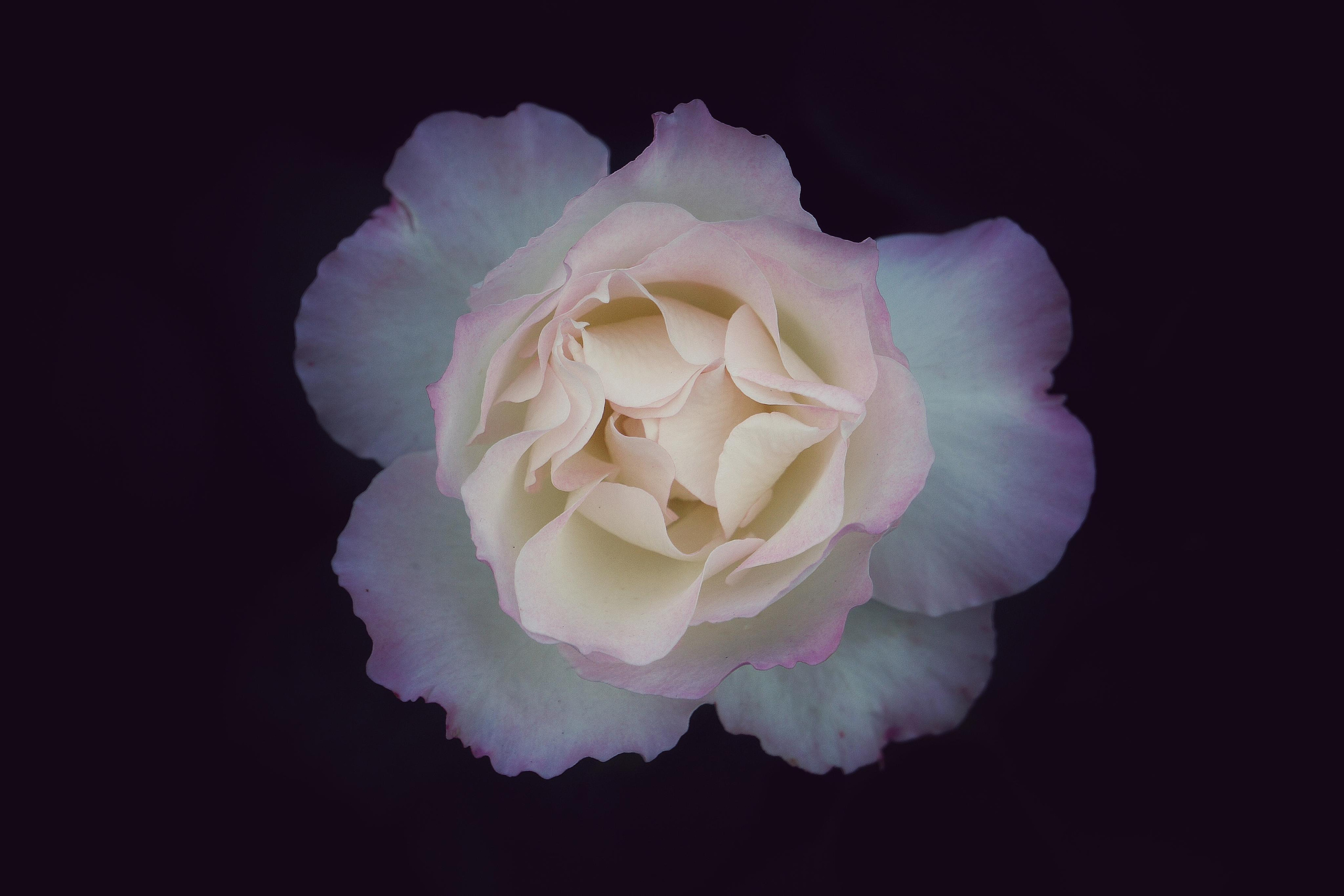 Природа и пейзаж. Фотограф в Москве Сергей Коршунов