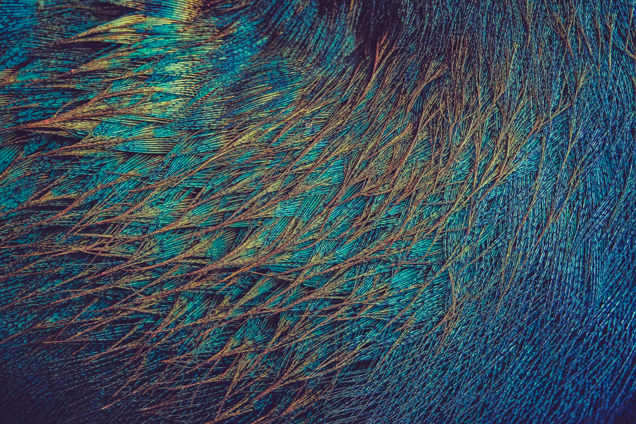 Узоры и паттерны. Фотограф в Москве Сергей Коршунов