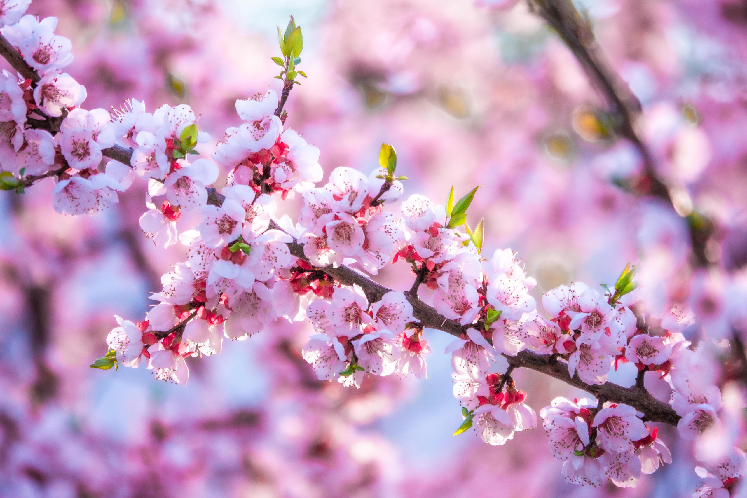 Природа и пейзаж. Фотограф в Москве Сергей Коршунов