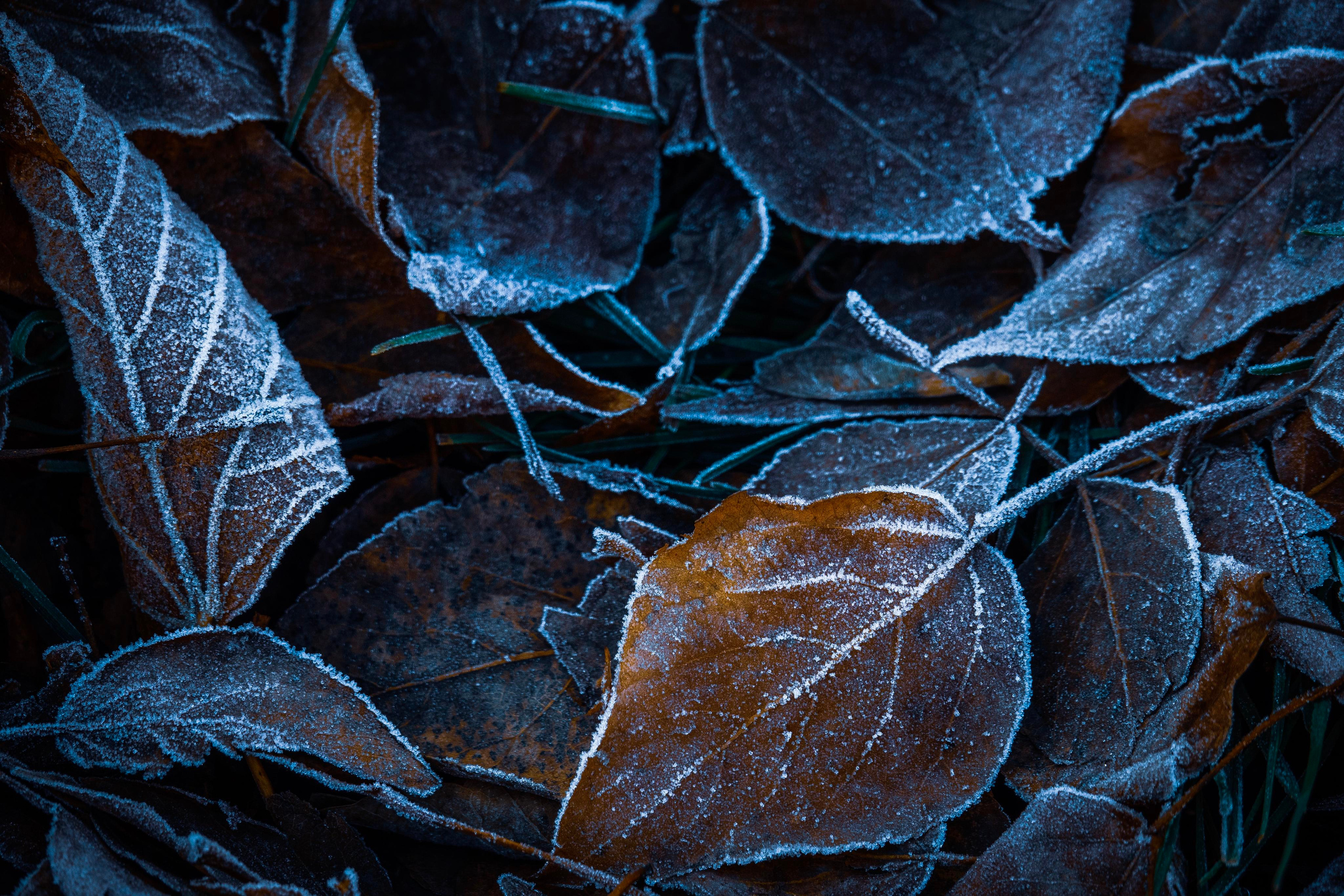 Природа и пейзаж. Фотограф в Москве Сергей Коршунов