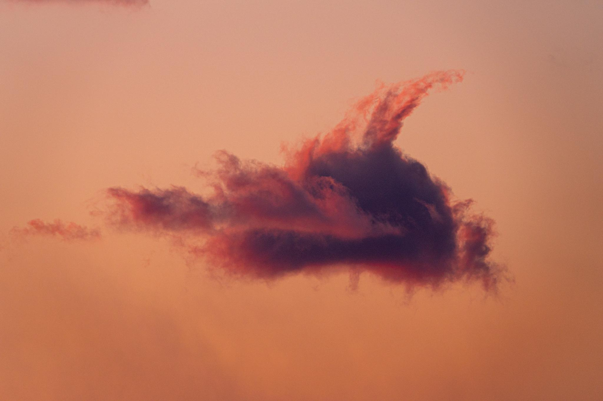 Природа и пейзаж. Фотограф в Москве Сергей Коршунов