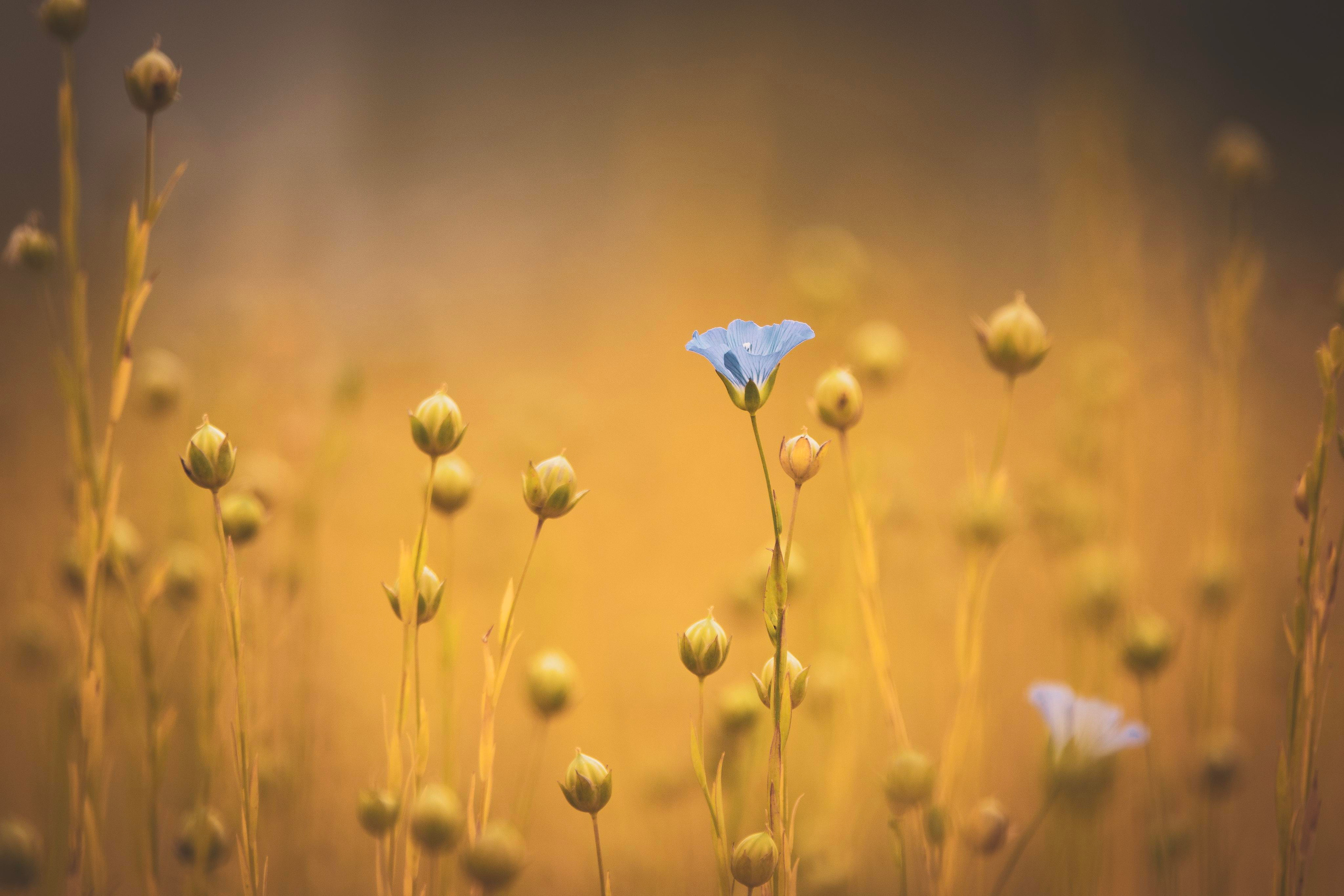 Природа и пейзаж. Фотограф в Москве Сергей Коршунов