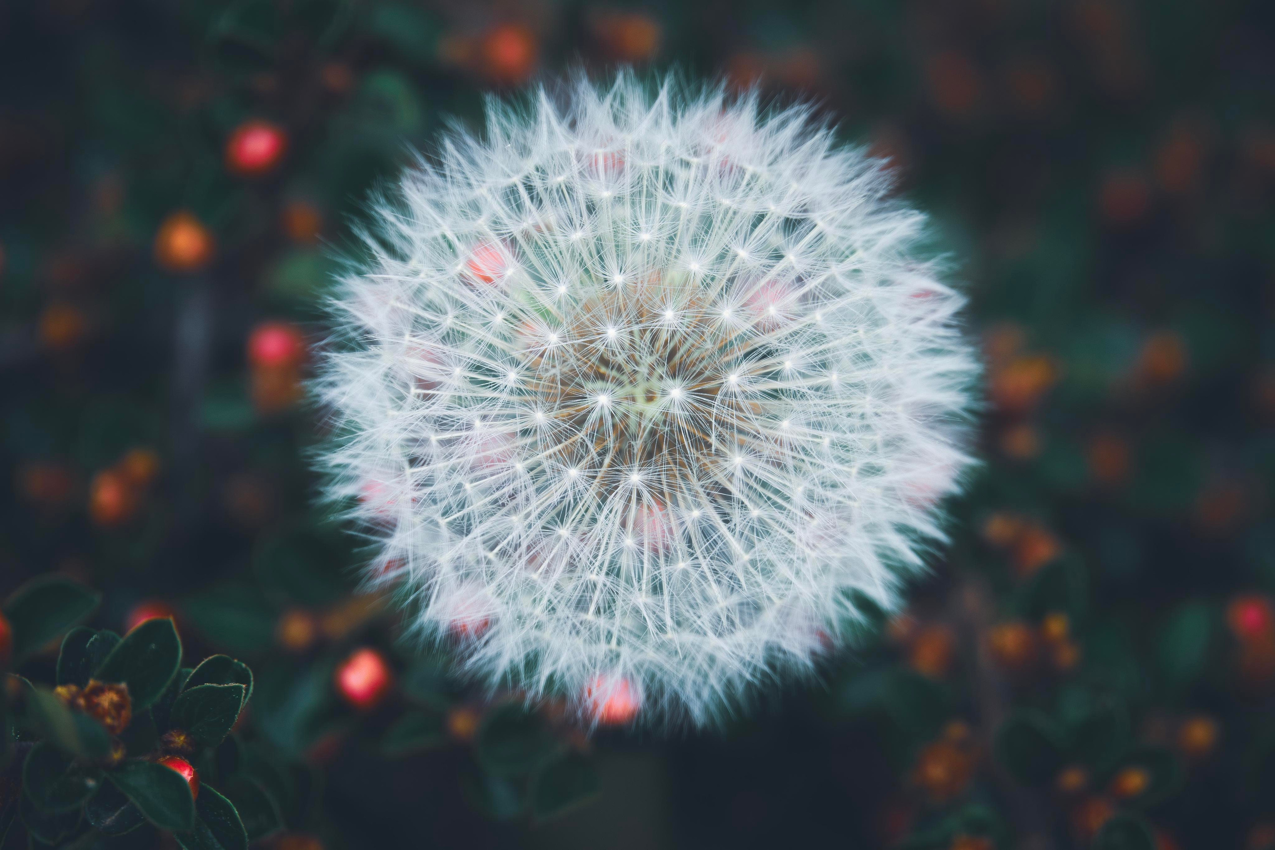 Природа и пейзаж. Фотограф в Москве Сергей Коршунов