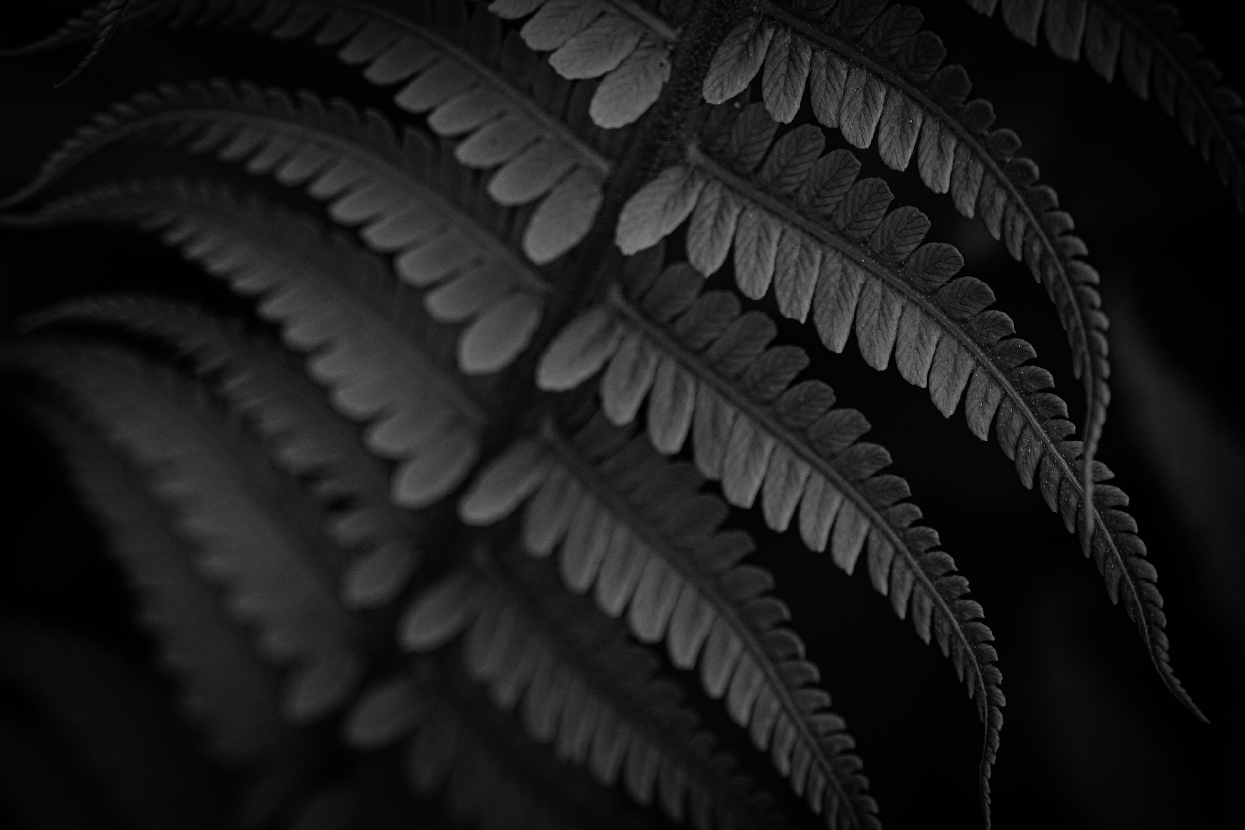 Природа и пейзаж. Фотограф в Москве Сергей Коршунов