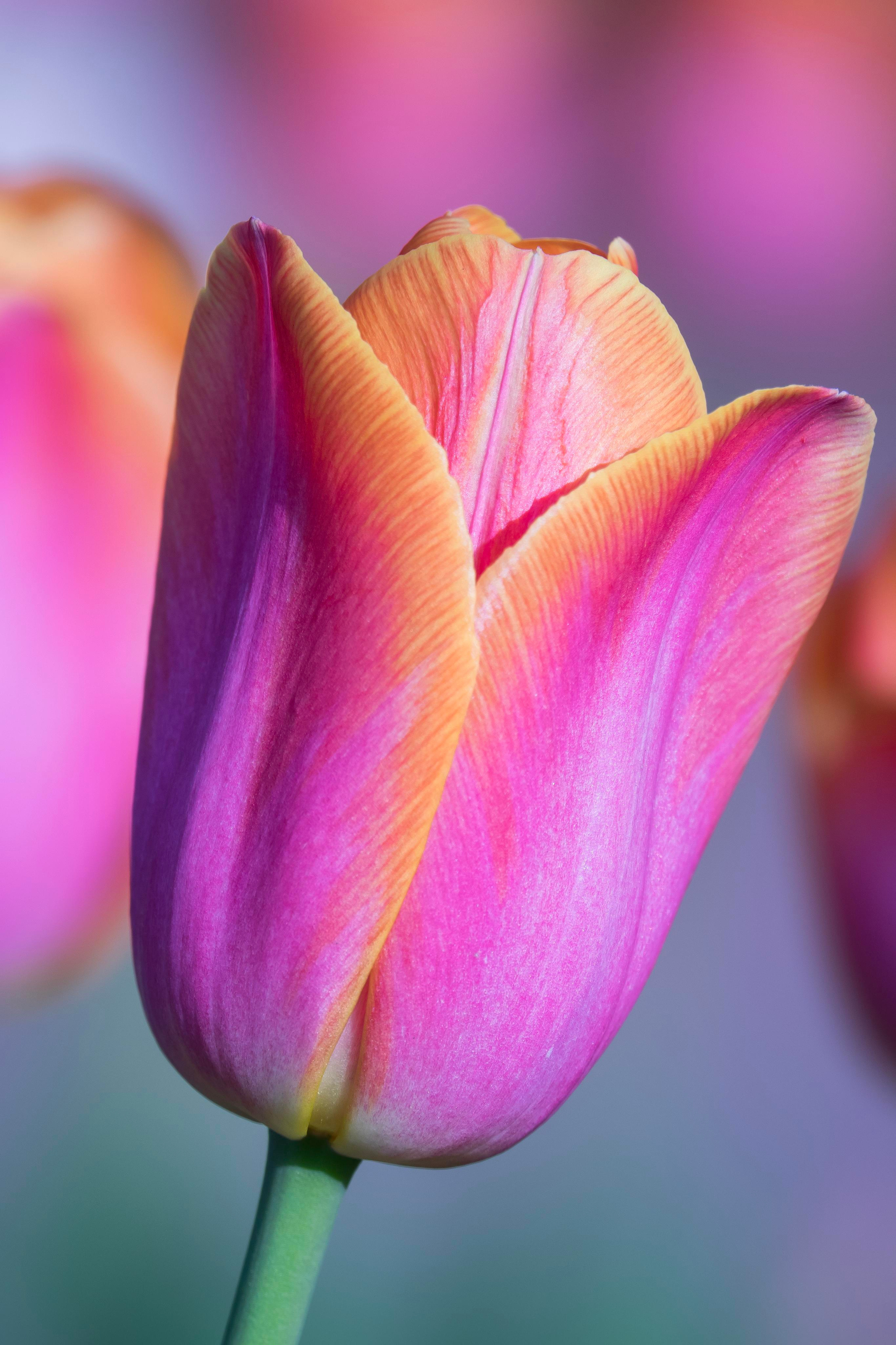 Природа и пейзаж. Фотограф в Москве Сергей Коршунов