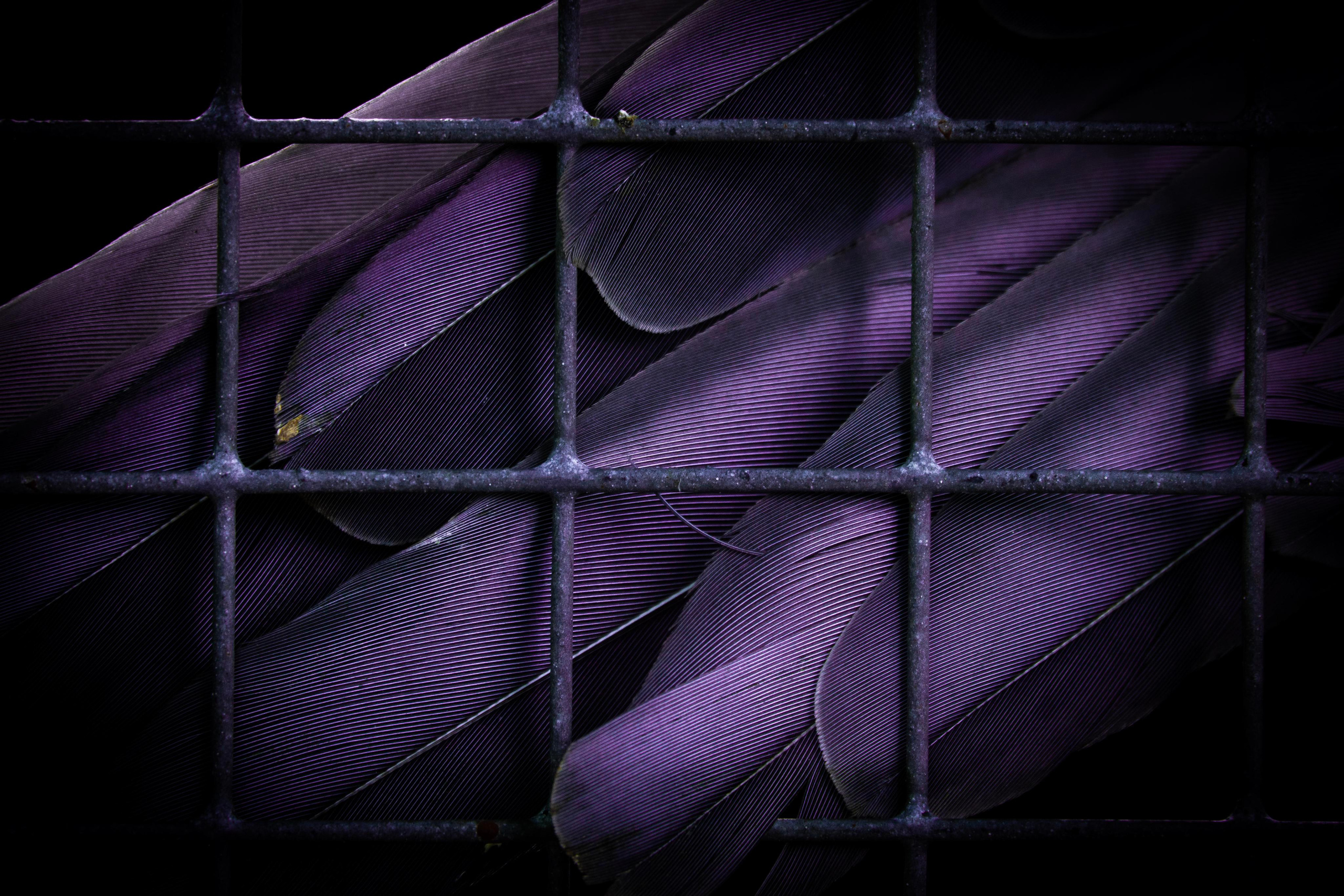 Узоры и паттерны. Фотограф в Москве Сергей Коршунов