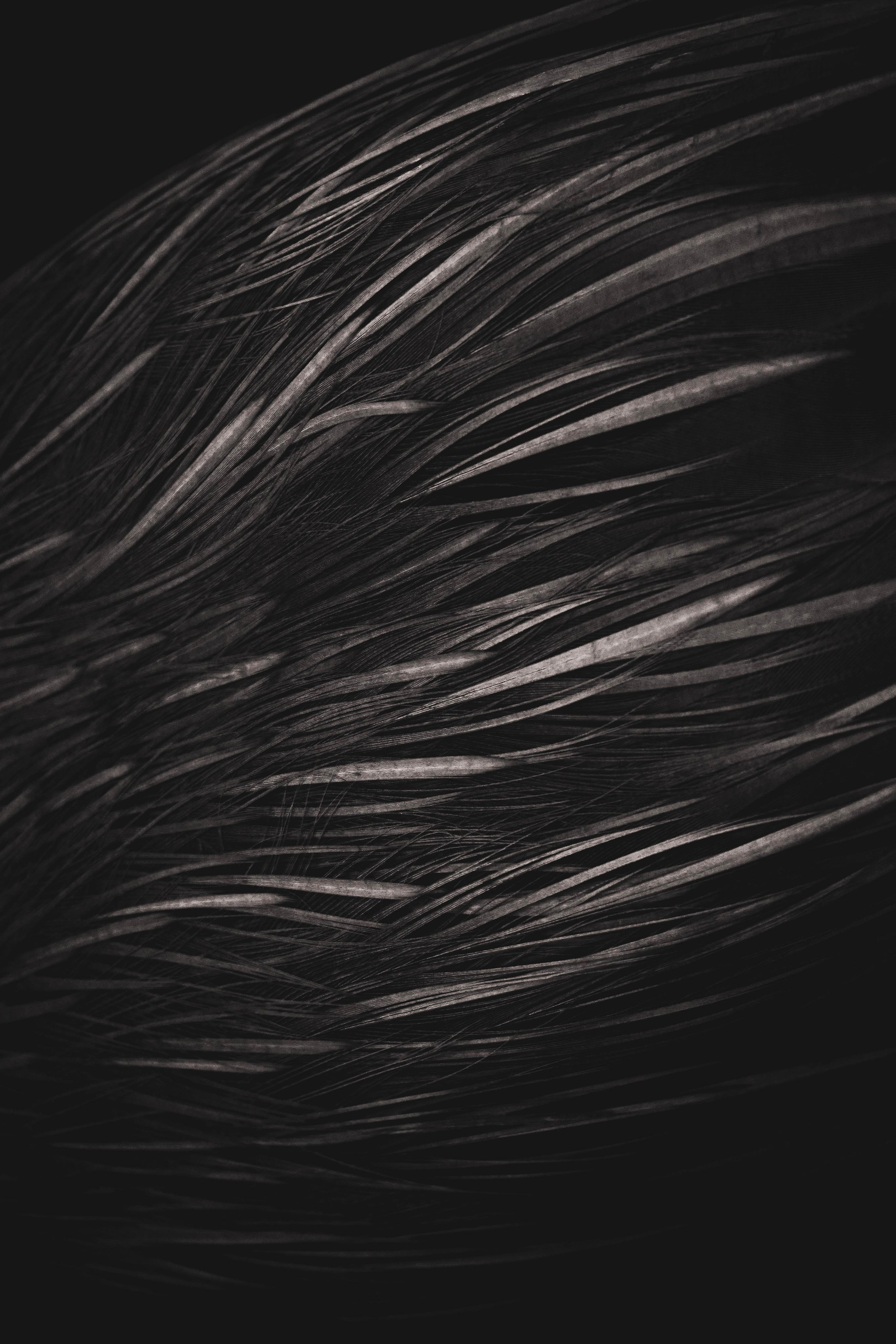 Узоры и паттерны. Фотограф в Москве Сергей Коршунов