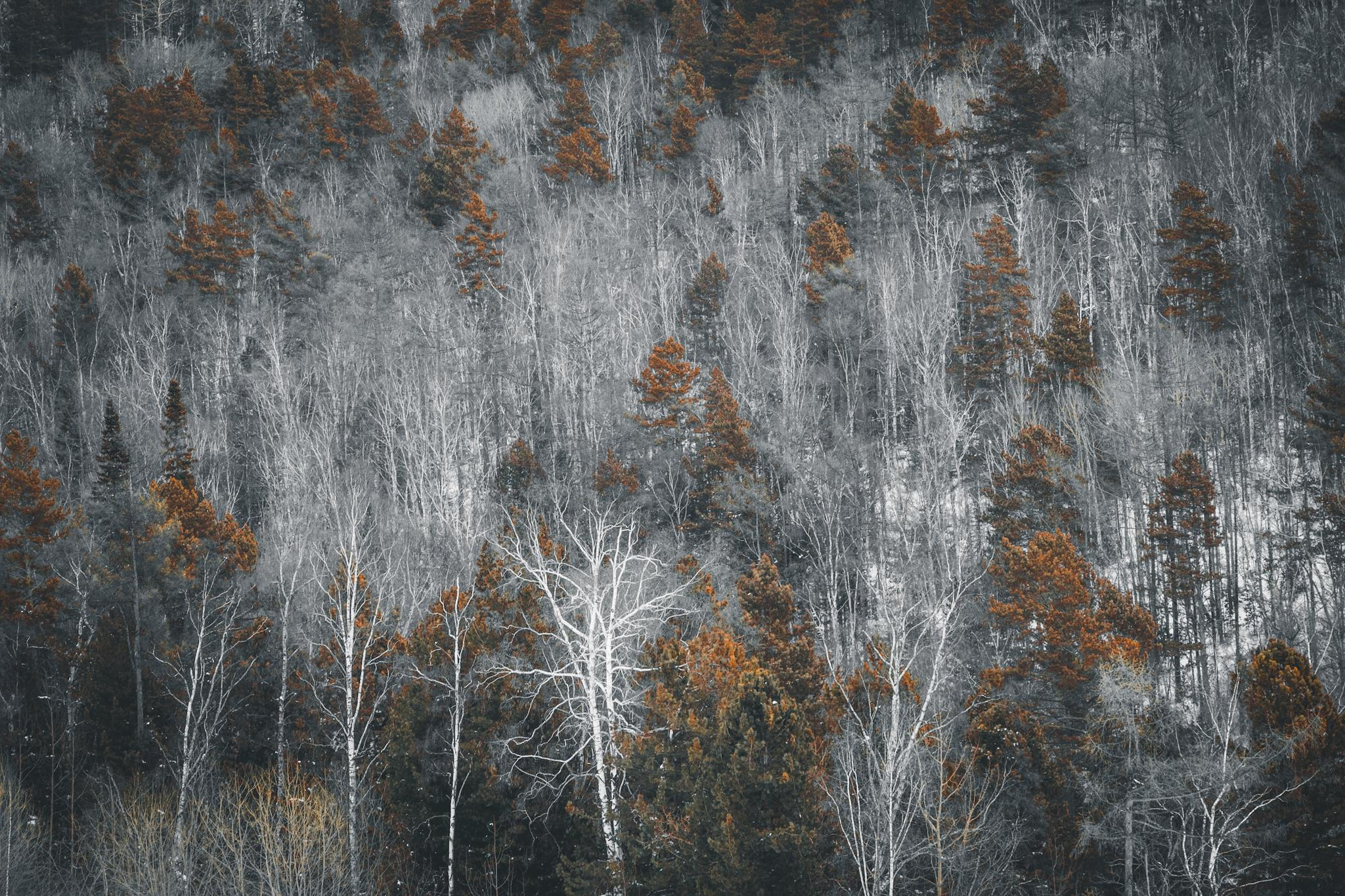 Природа и пейзаж. Фотограф в Москве Сергей Коршунов