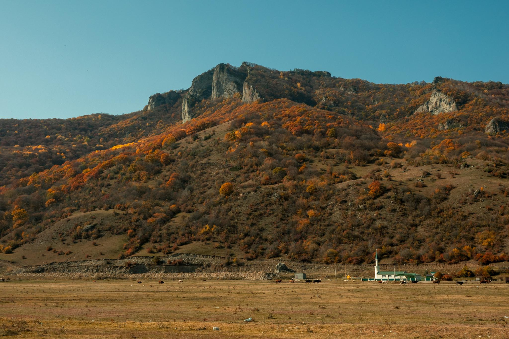 Природа и пейзаж. Фотограф в Москве Сергей Коршунов