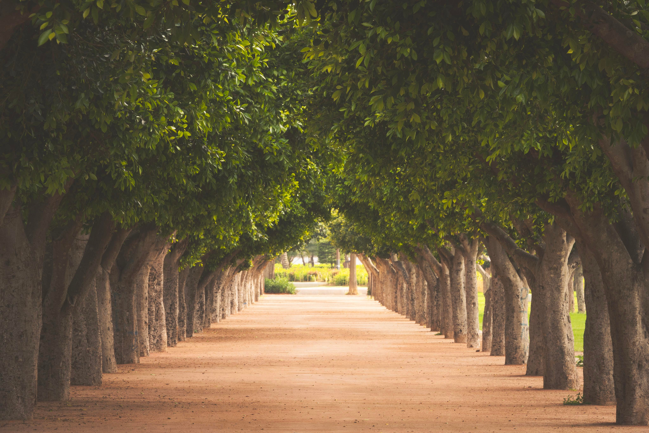 Природа и пейзаж. Фотограф в Москве Сергей Коршунов