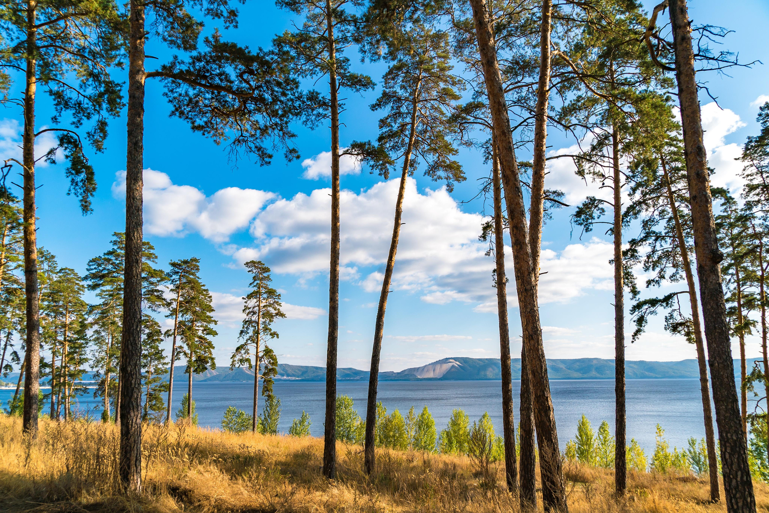 Природа и пейзаж. Фотограф в Москве Сергей Коршунов