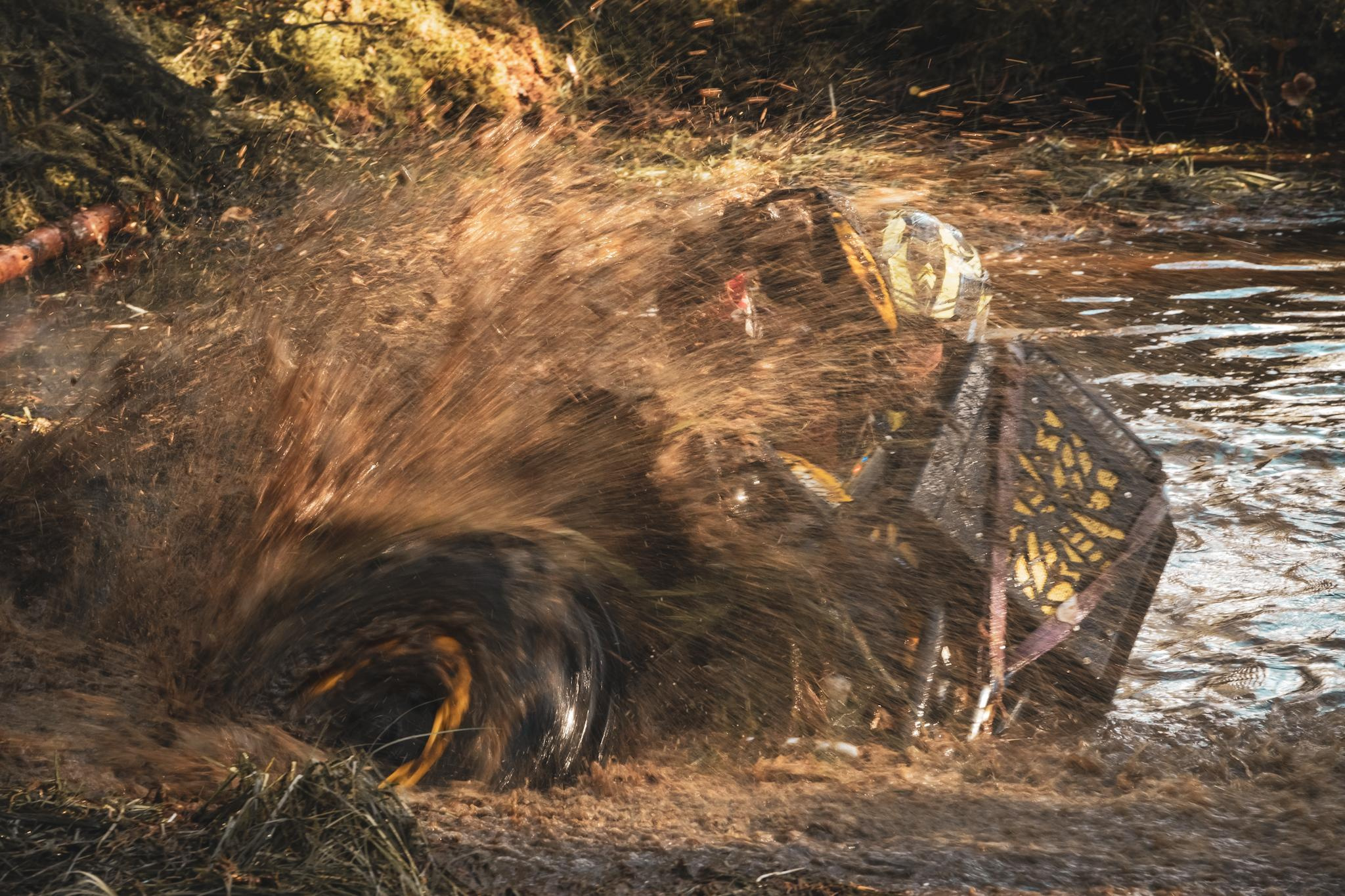 Спорт. Фотограф в Москве Сергей Коршунов