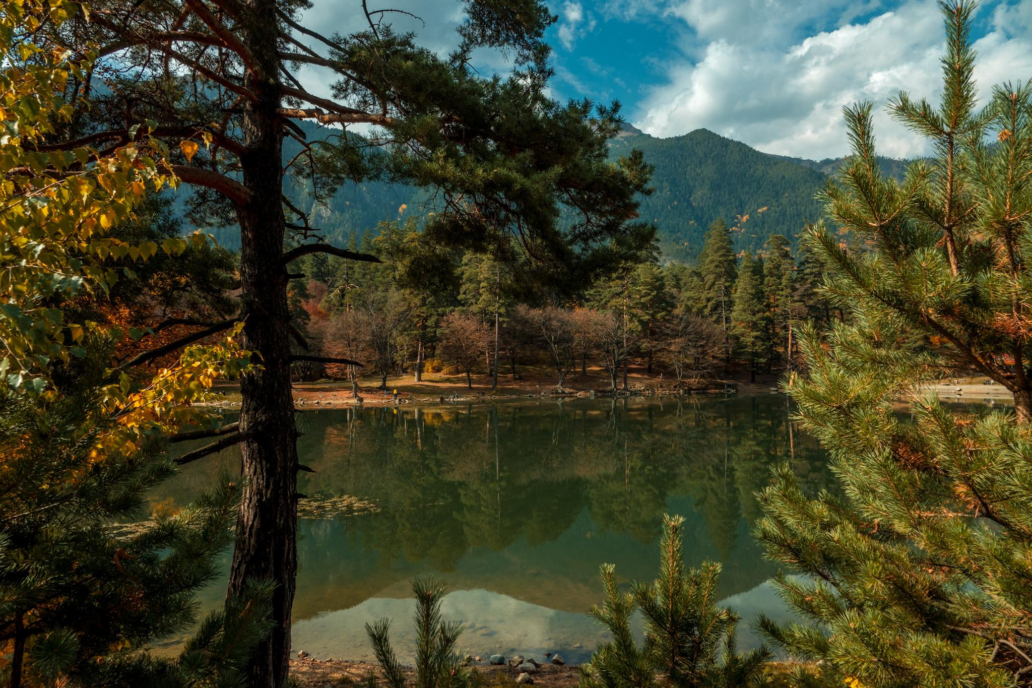 Природа и пейзаж. Фотограф в Москве Сергей Коршунов