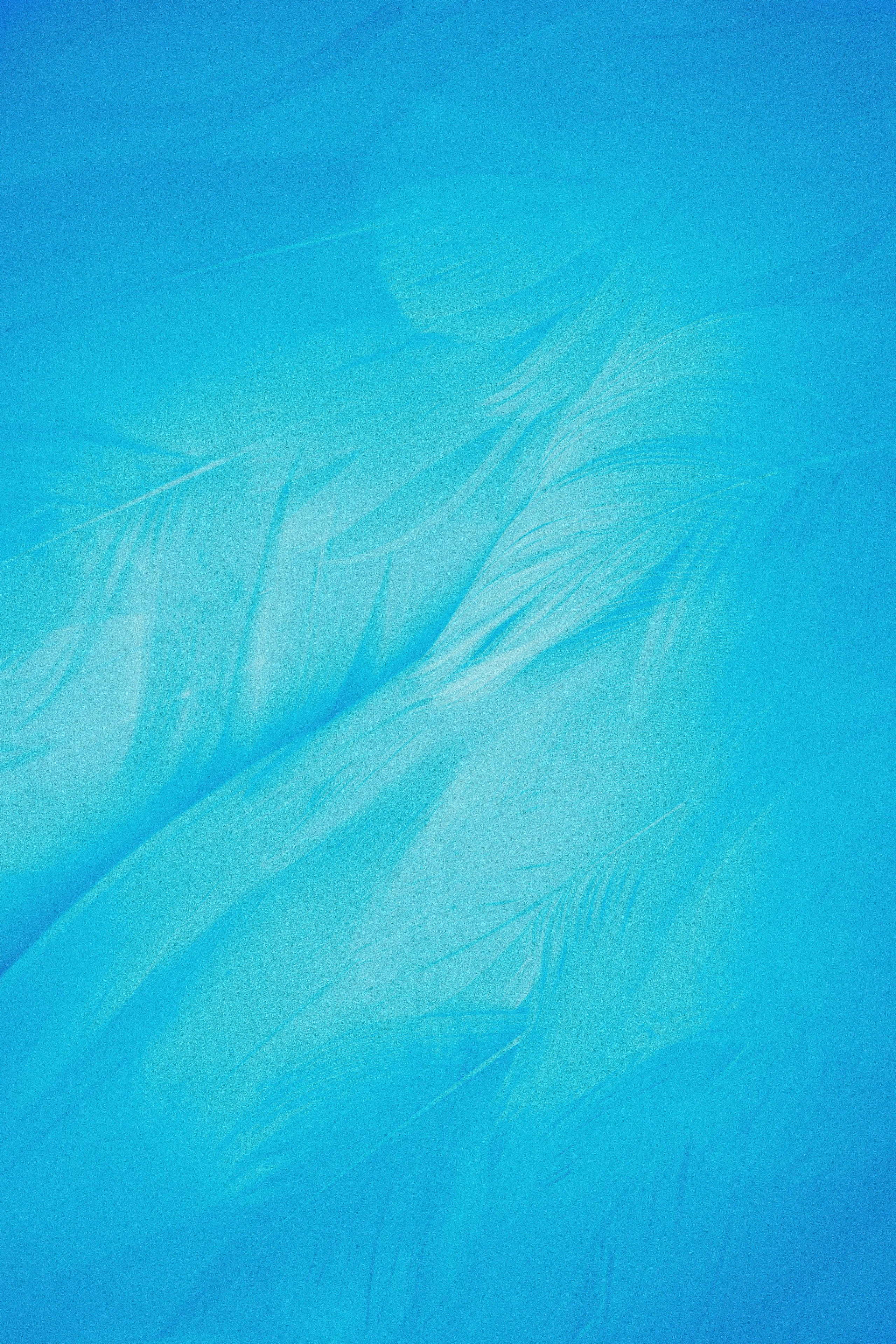 Узоры и паттерны. Фотограф в Москве Сергей Коршунов