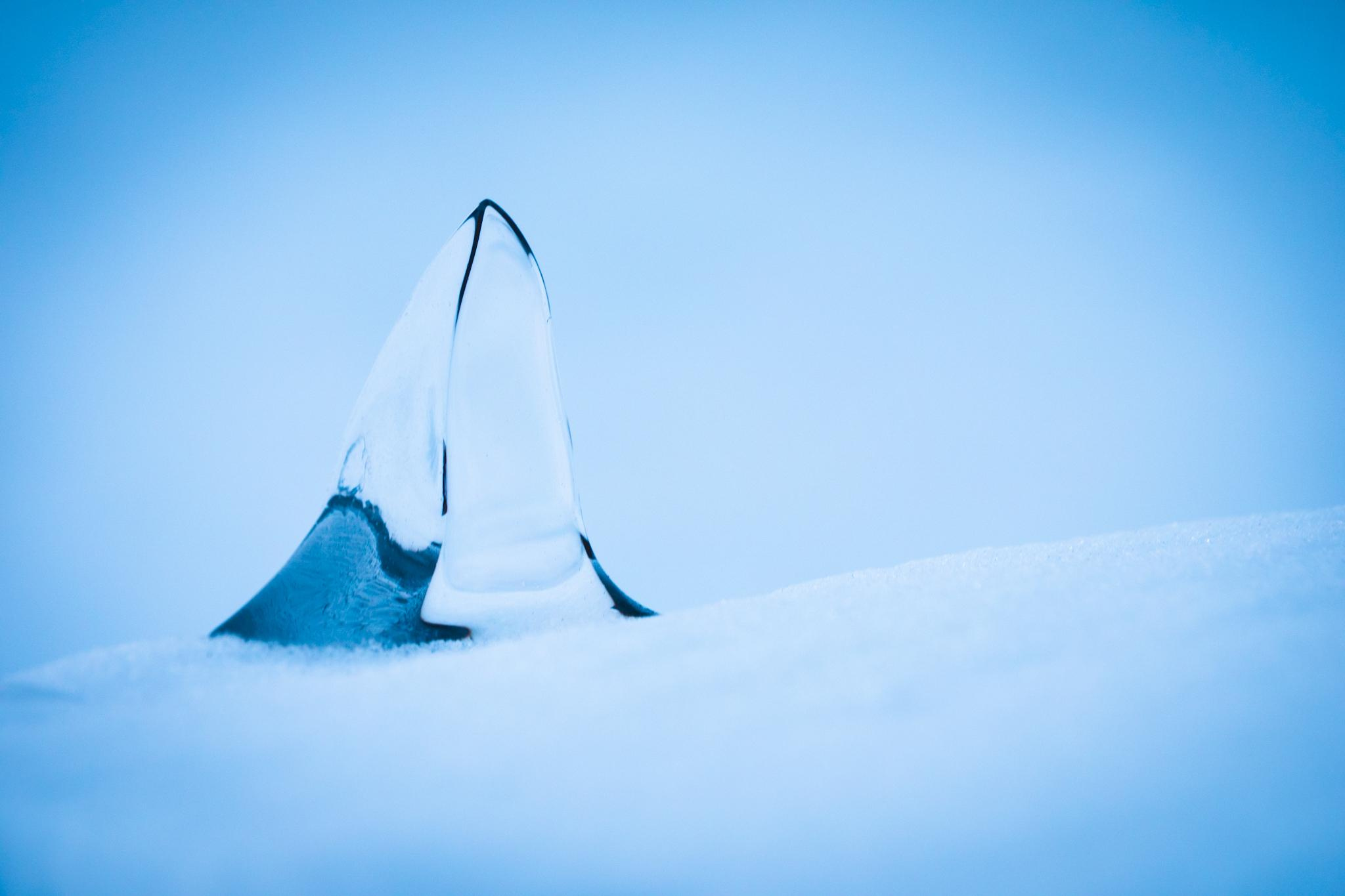 Природа и пейзаж. Фотограф в Москве Сергей Коршунов