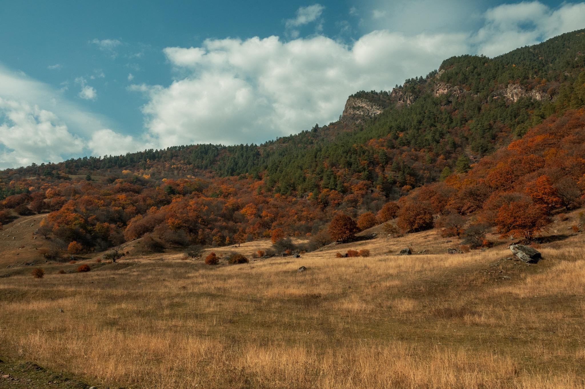 Природа и пейзаж. Фотограф в Москве Сергей Коршунов