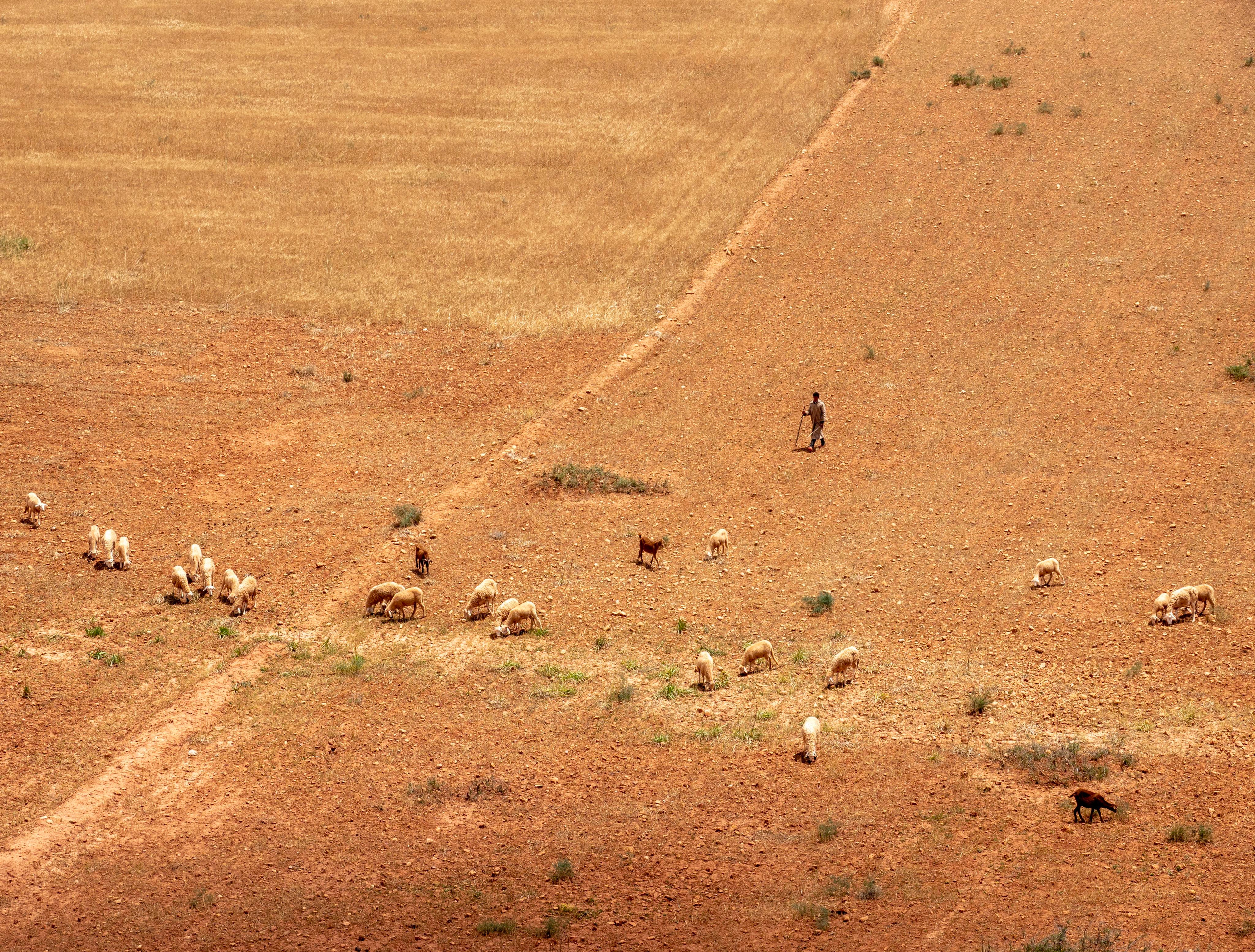 Путешествия. Фотограф в Москве Сергей Коршунов