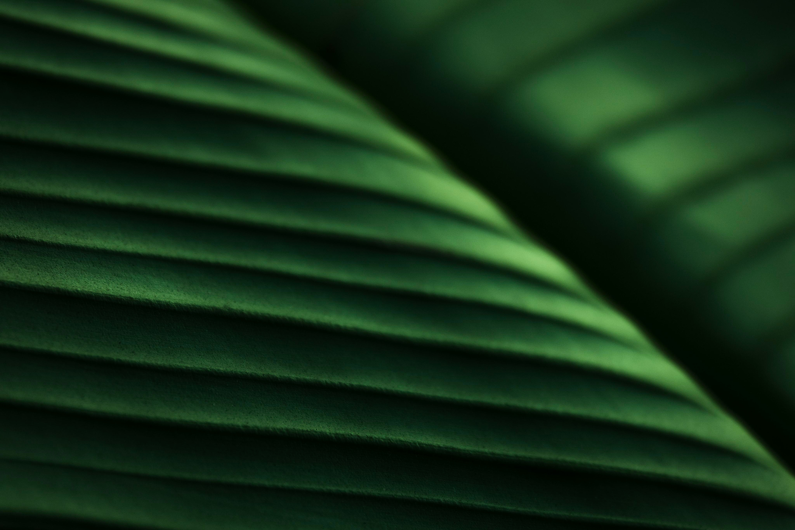 Узоры и паттерны. Фотограф в Москве Сергей Коршунов