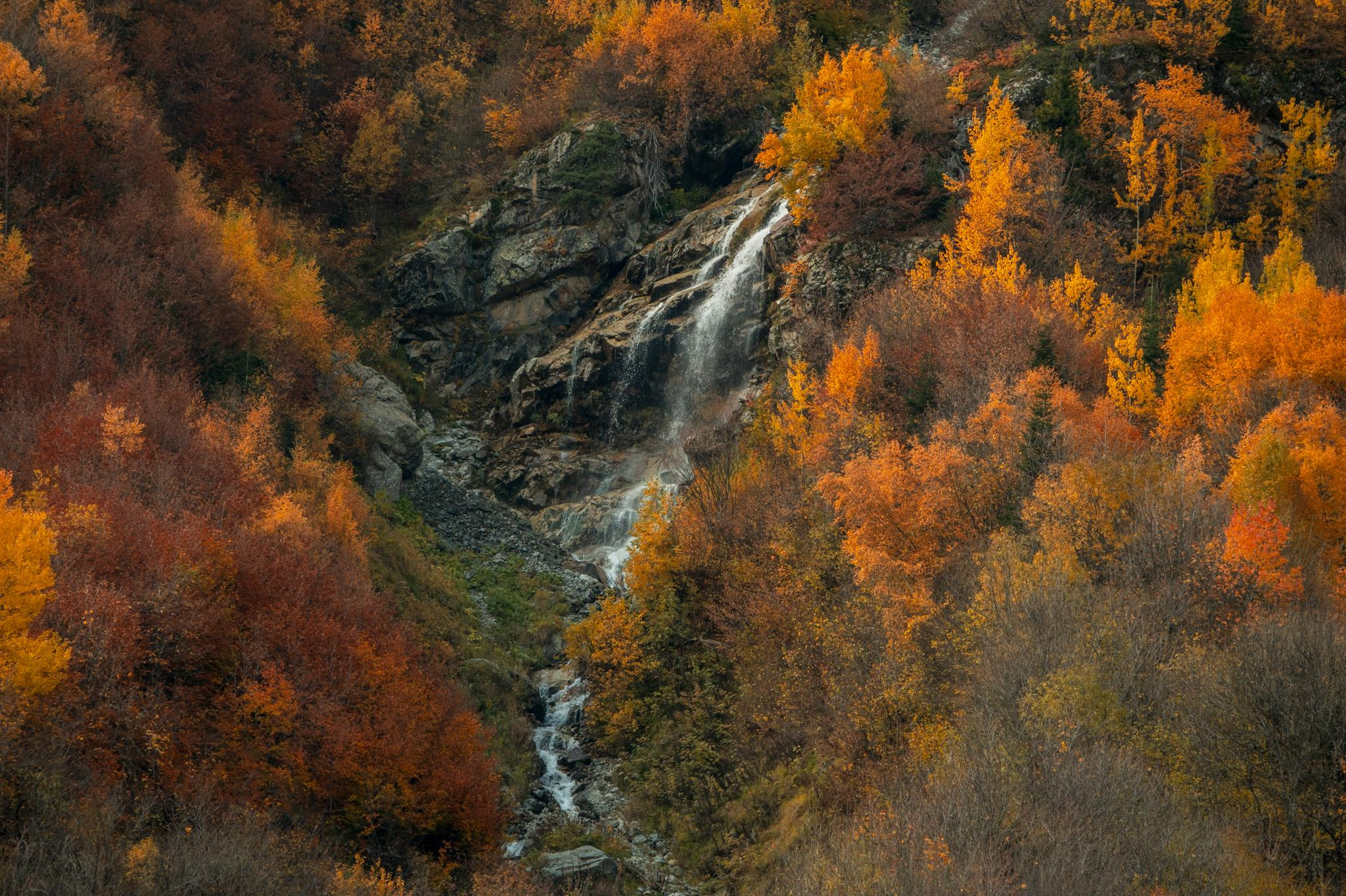 Природа и пейзаж. Фотограф в Москве Сергей Коршунов