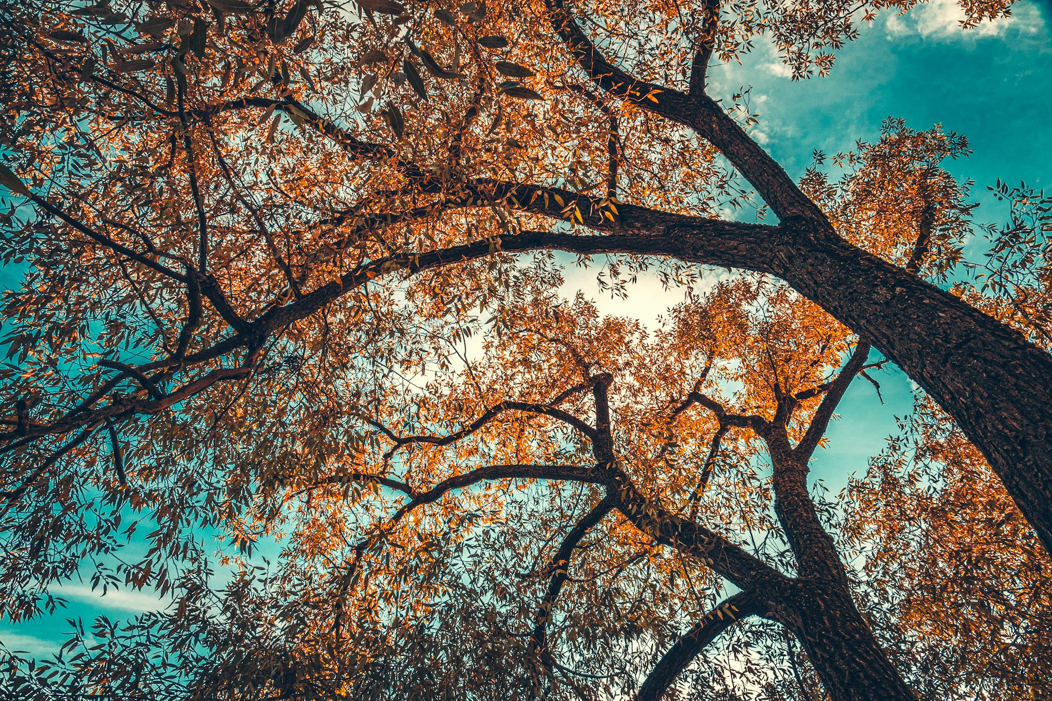 Природа и пейзаж. Фотограф в Москве Сергей Коршунов