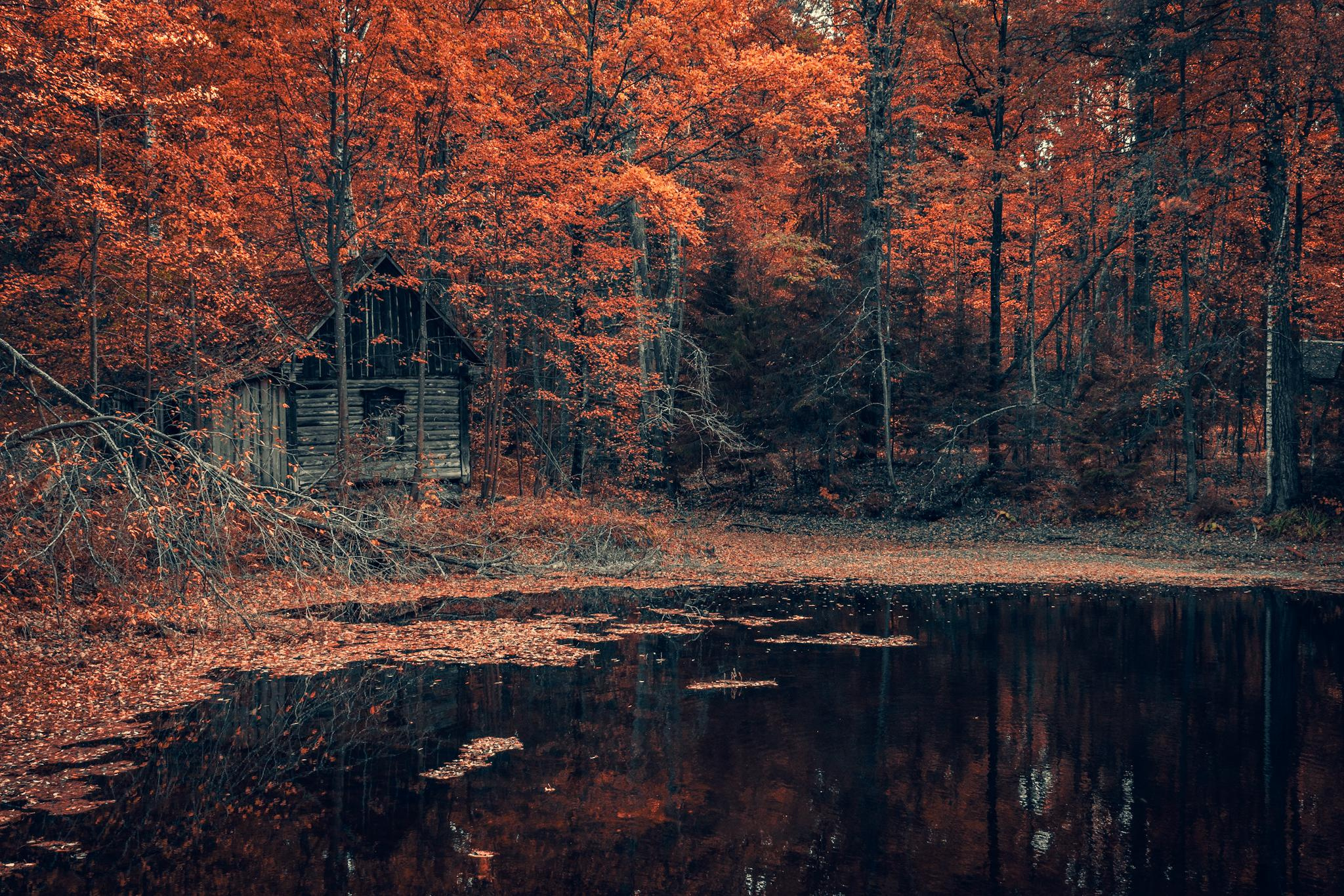 Природа и пейзаж. Фотограф в Москве Сергей Коршунов