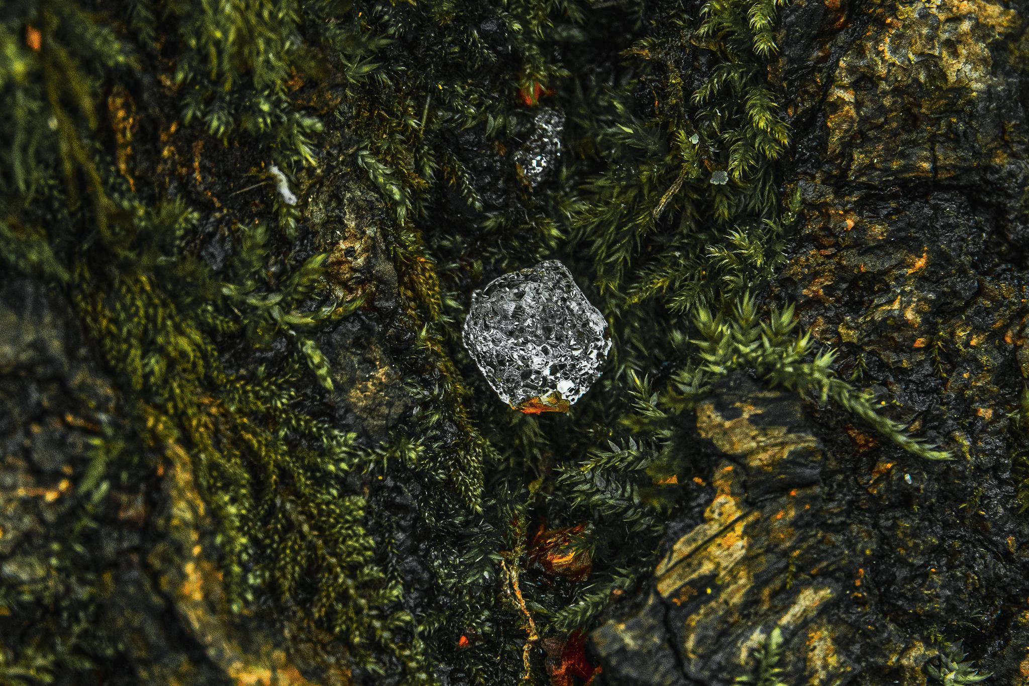 Природа и пейзаж. Фотограф в Москве Сергей Коршунов