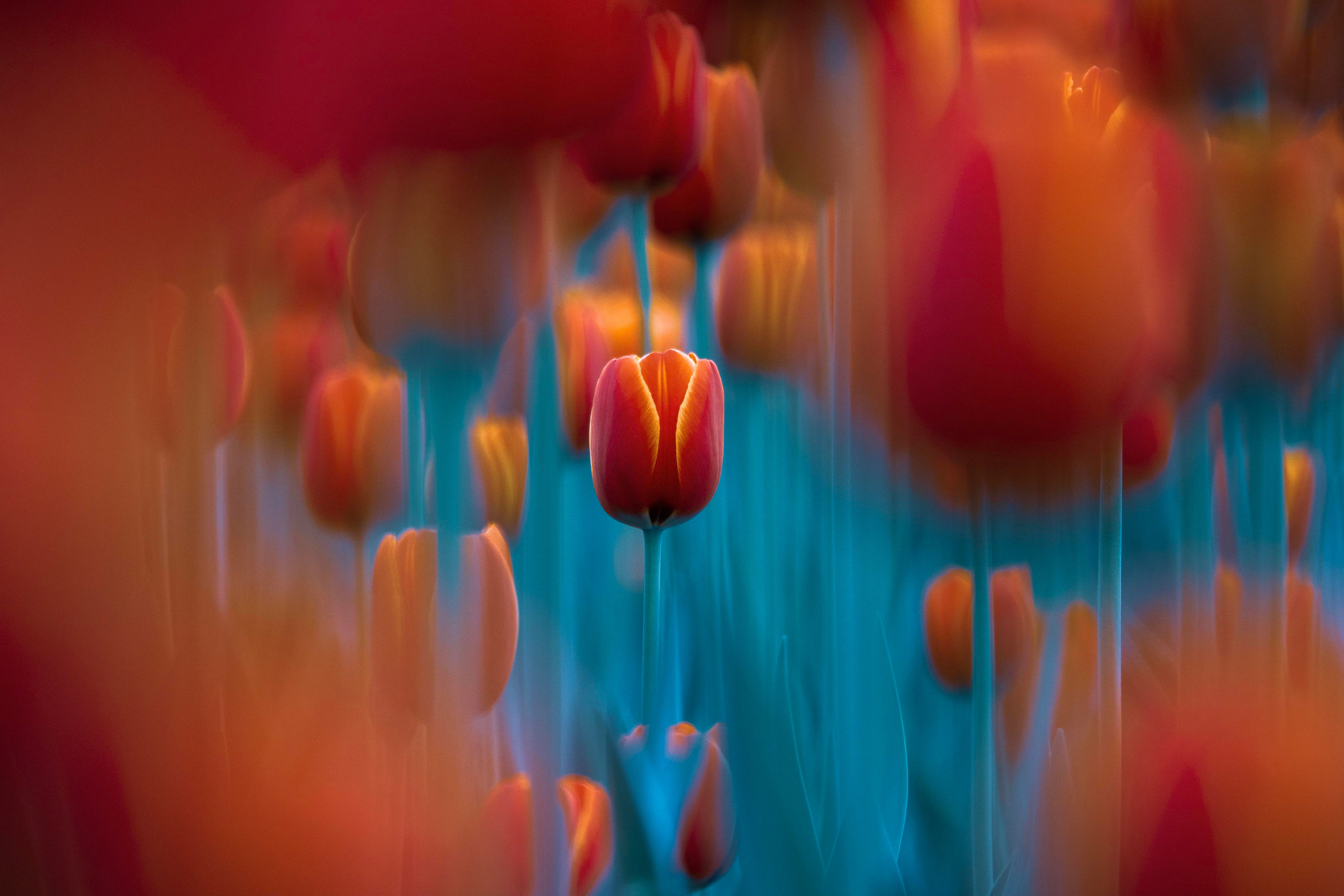 Природа и пейзаж. Фотограф в Москве Сергей Коршунов