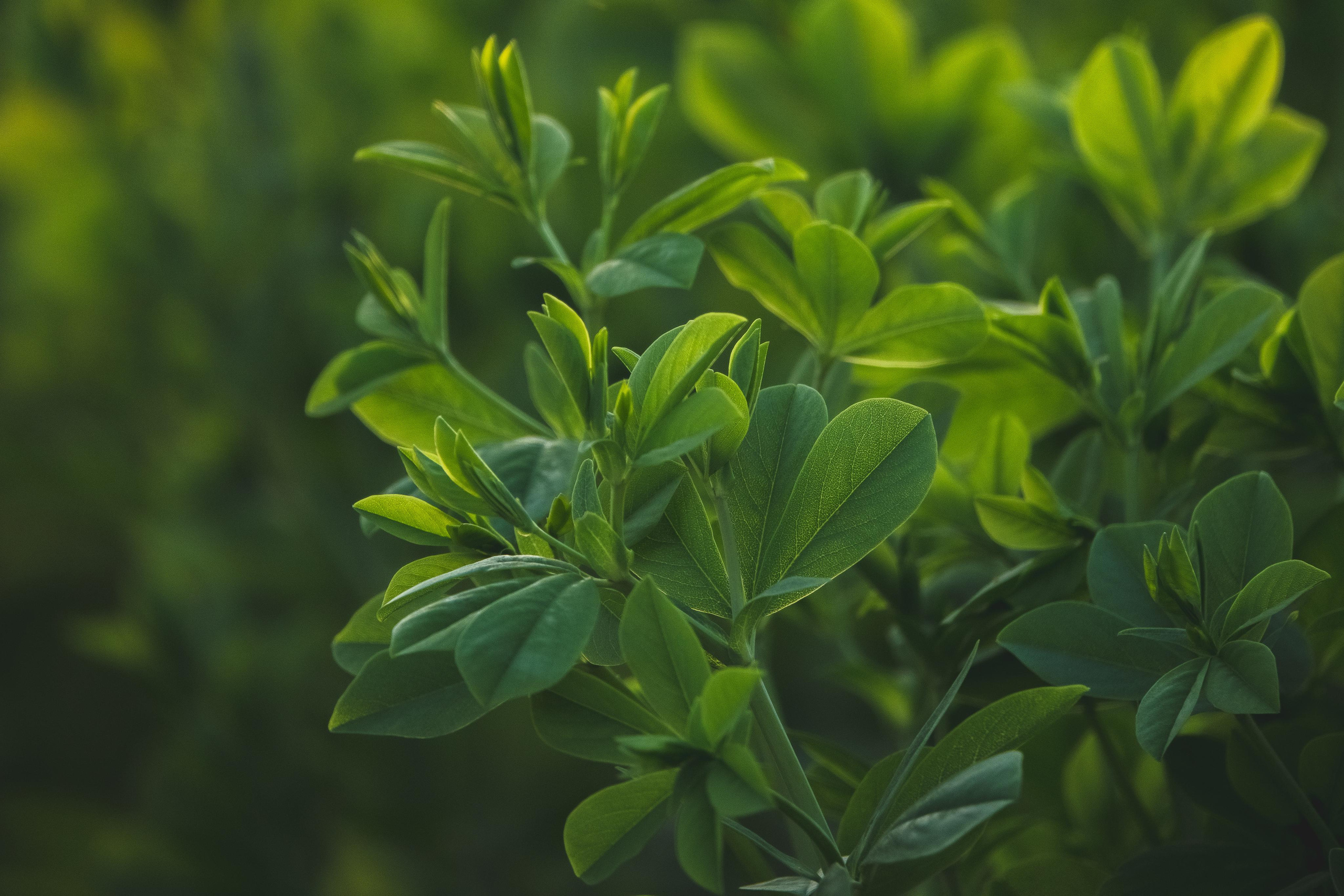 Природа и пейзаж. Фотограф в Москве Сергей Коршунов