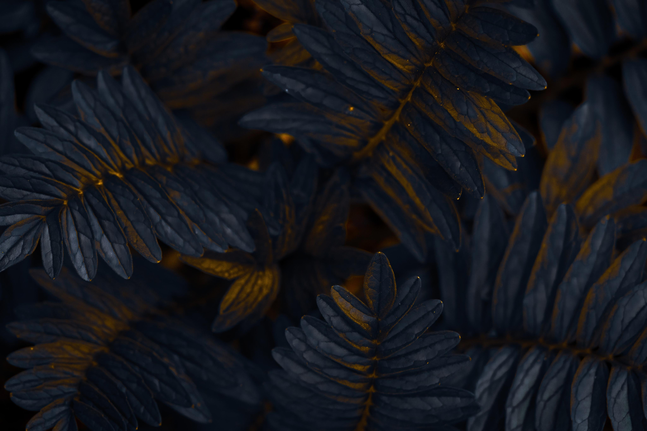 Природа и пейзаж. Фотограф в Москве Сергей Коршунов