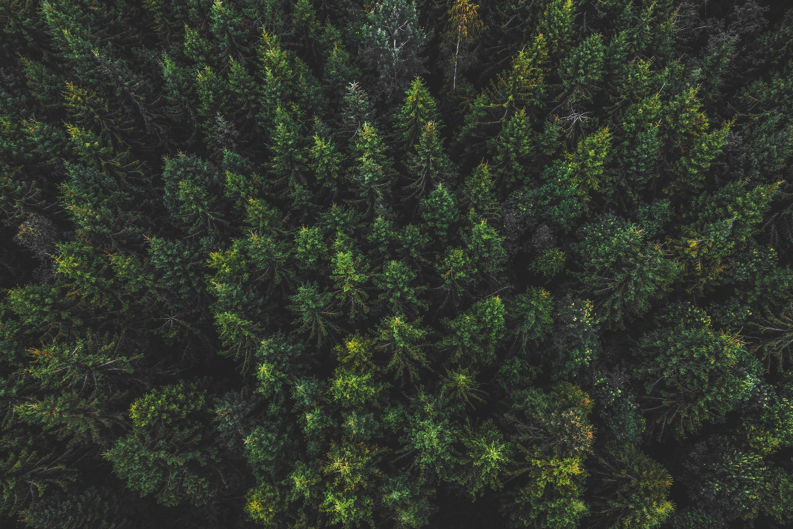 Природа и пейзаж. Фотограф в Москве Сергей Коршунов