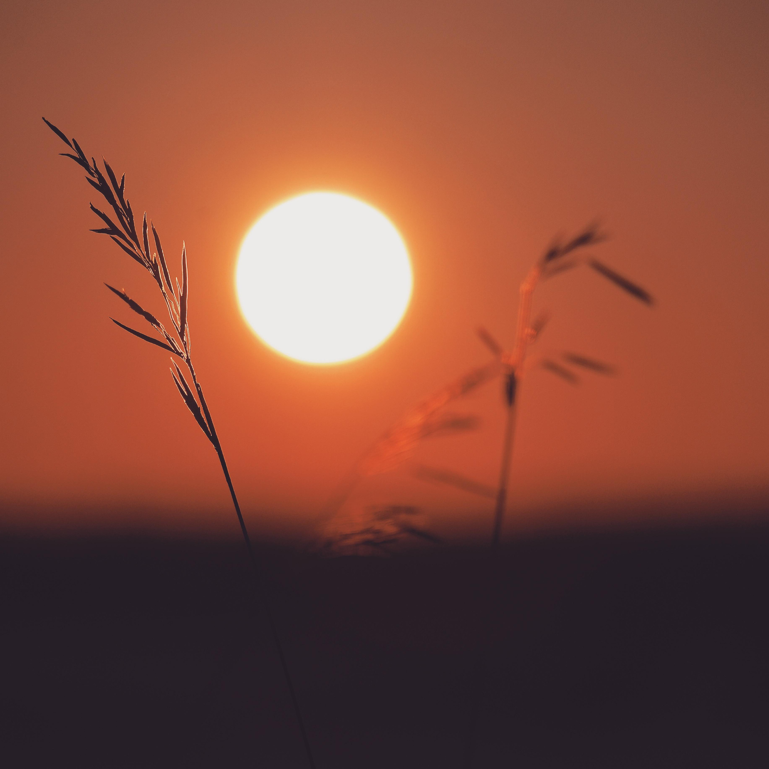 Природа и пейзаж. Фотограф в Москве Сергей Коршунов