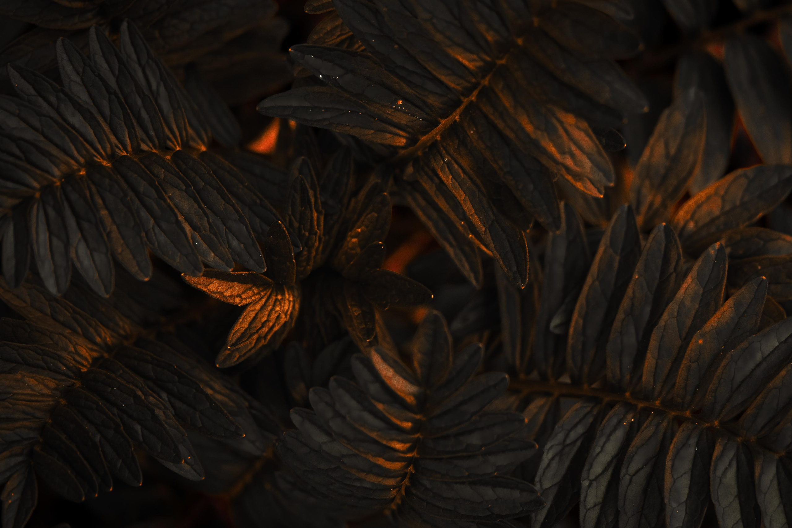 Природа и пейзаж. Фотограф в Москве Сергей Коршунов