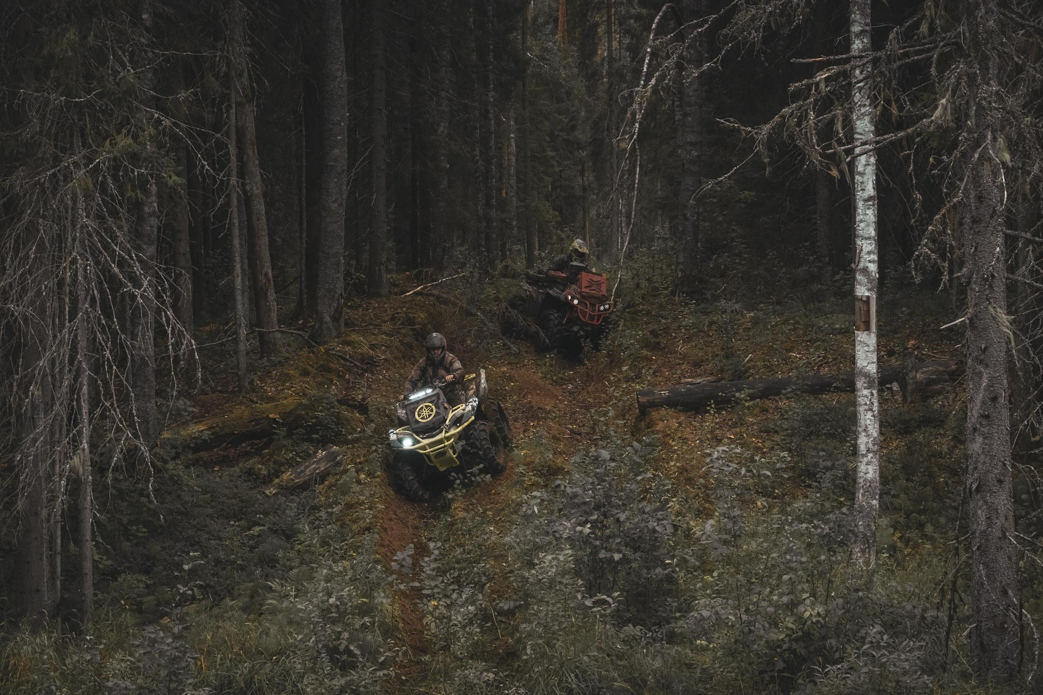 Спорт. Фотограф в Москве Сергей Коршунов