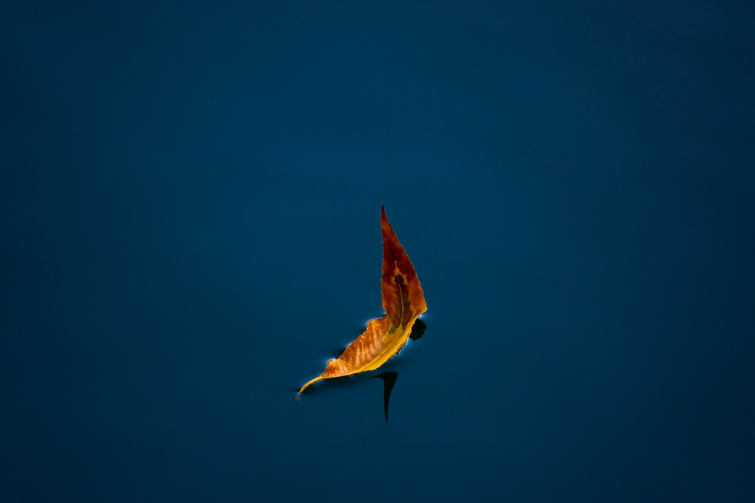 Природа и пейзаж. Фотограф в Москве Сергей Коршунов