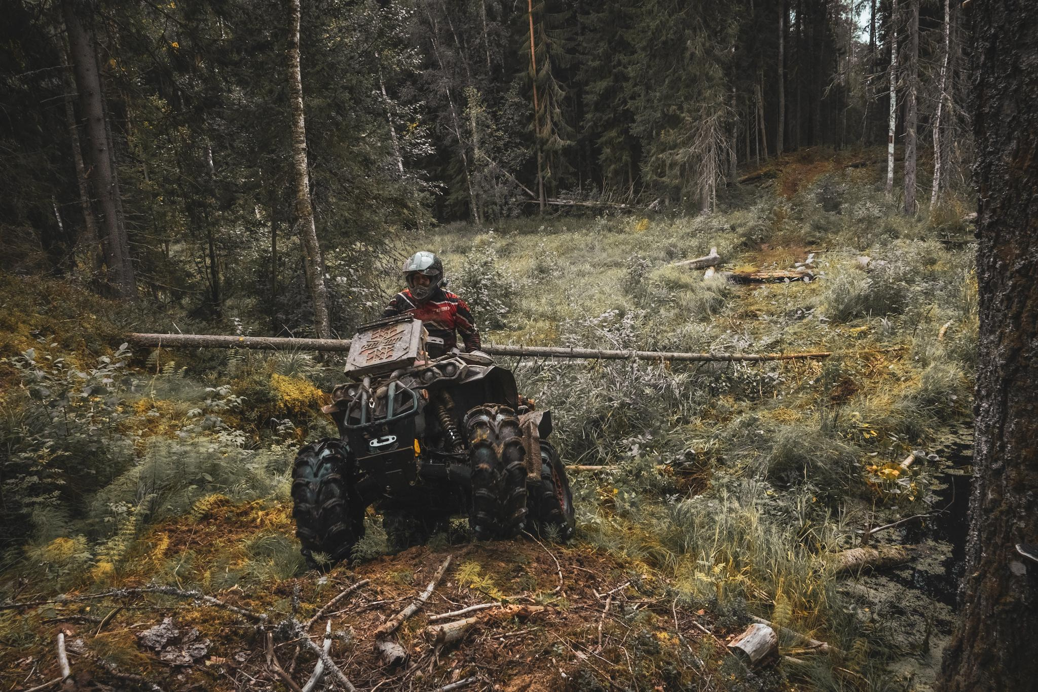 Спорт. Фотограф в Москве Сергей Коршунов