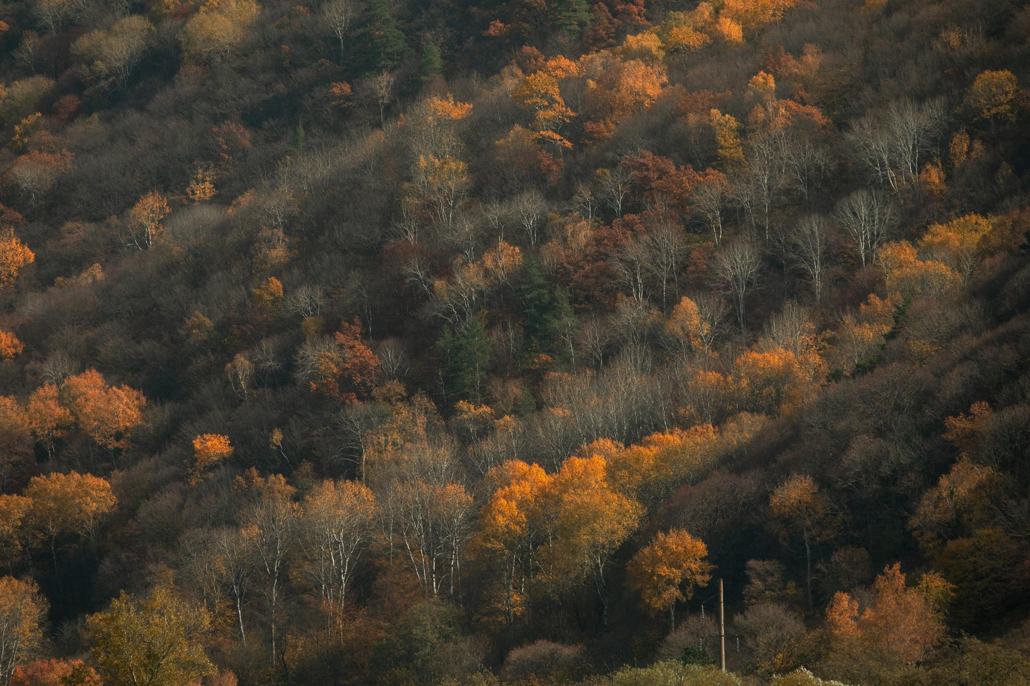 Природа и пейзаж. Фотограф в Москве Сергей Коршунов