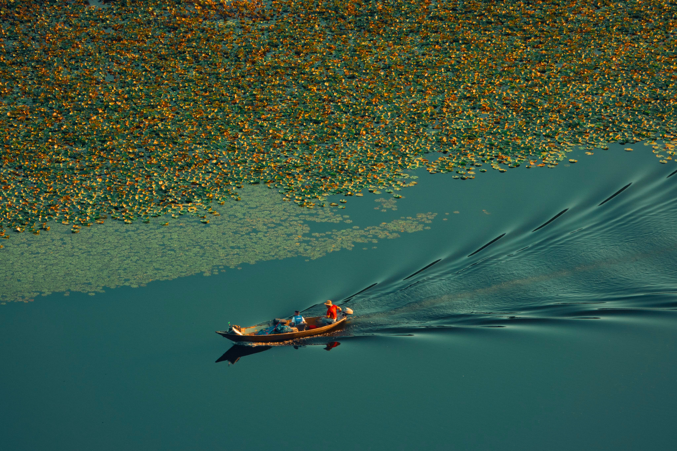 Природа и пейзаж. Фотограф в Москве Сергей Коршунов