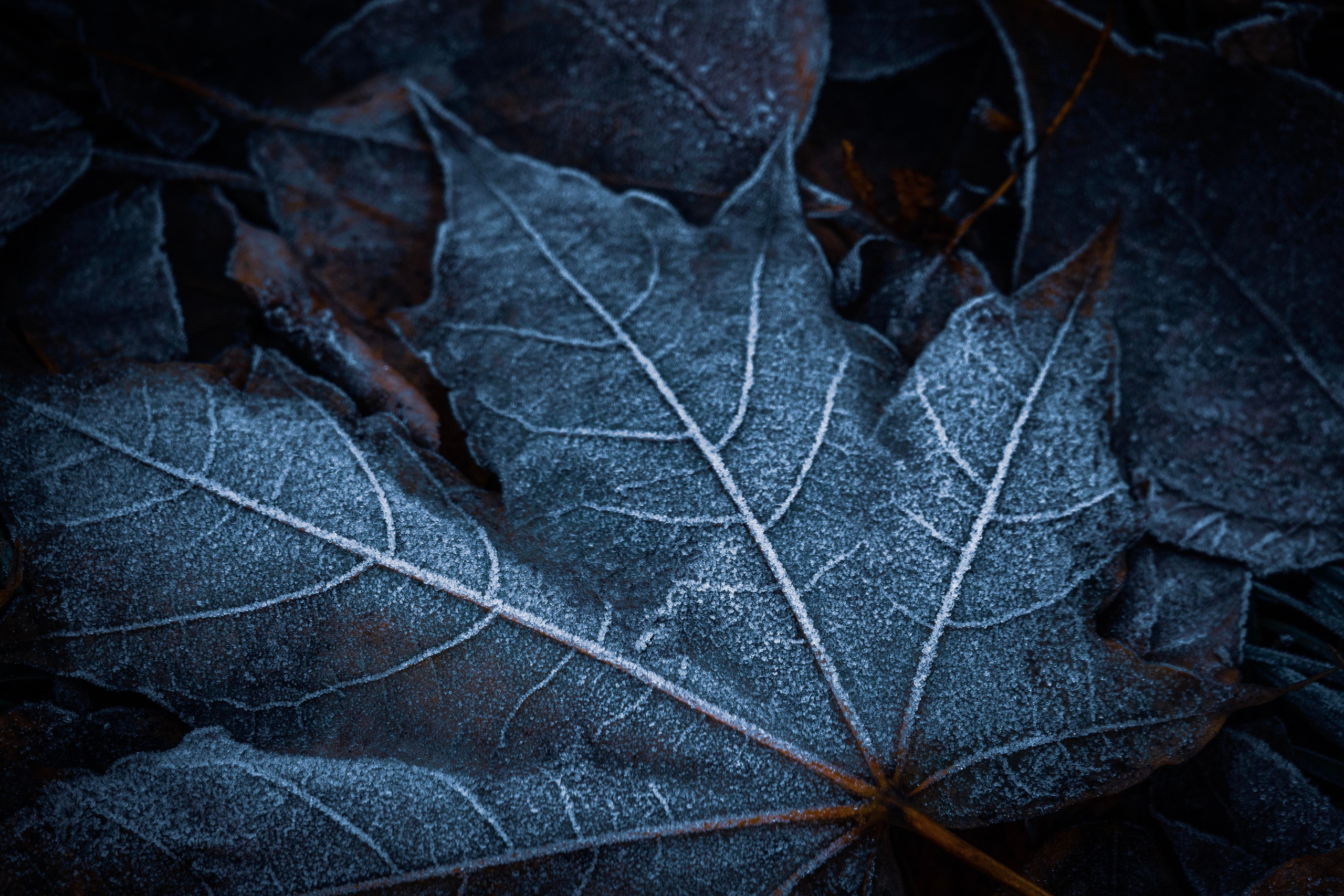 Природа и пейзаж. Фотограф в Москве Сергей Коршунов