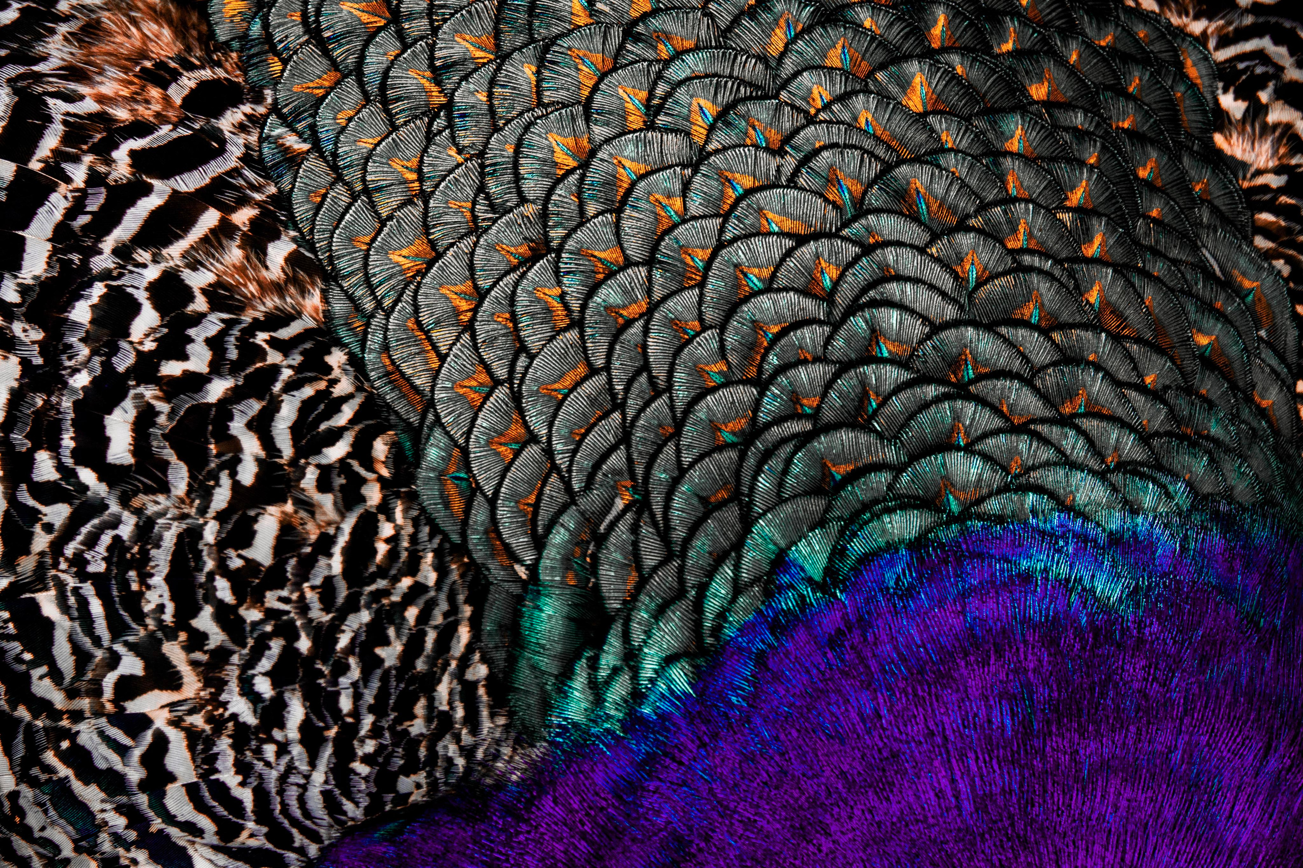 Узоры и паттерны. Фотограф в Москве Сергей Коршунов